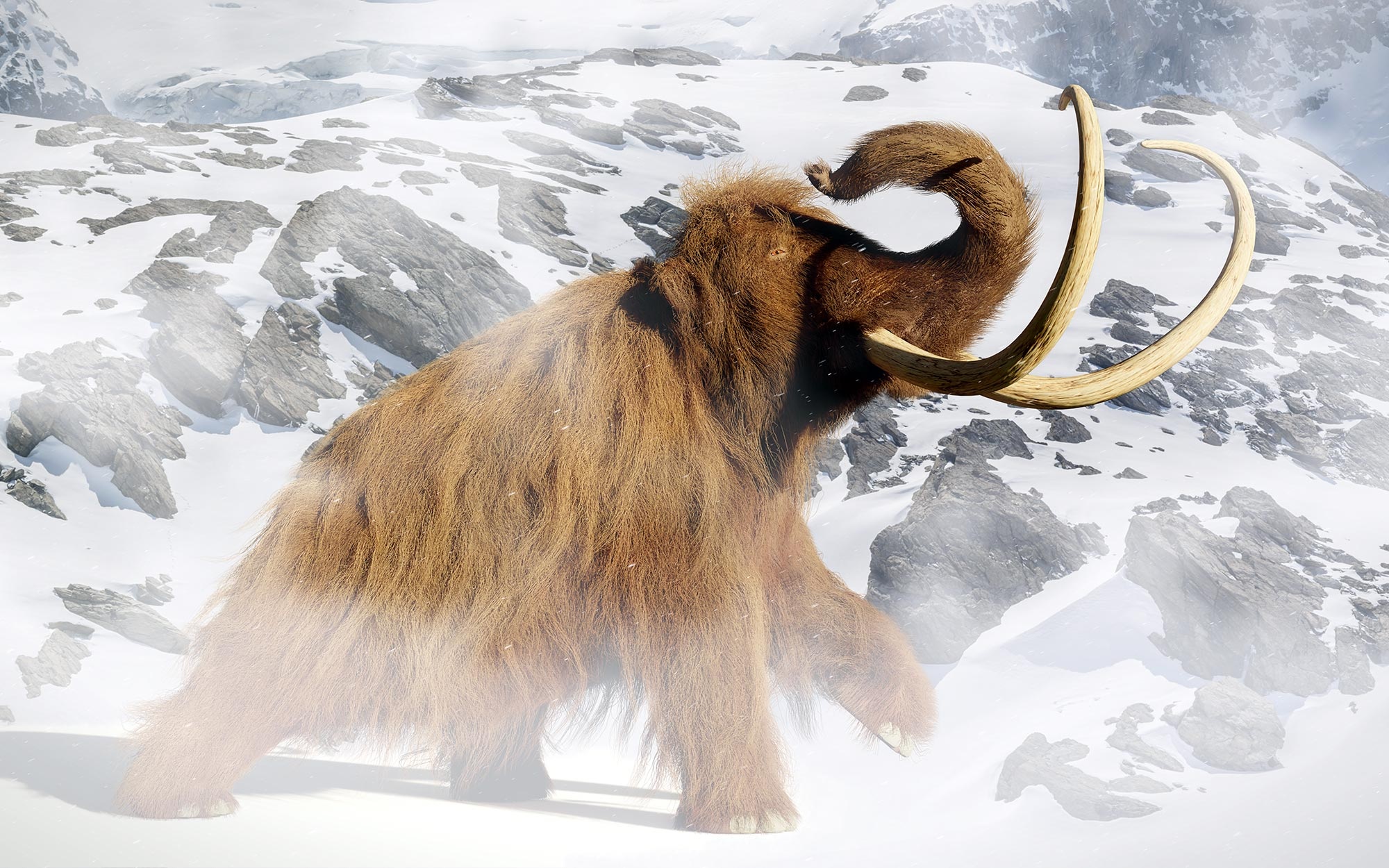Resurrects woolly mammoth DNA, Extinction cause, Study, Mammoth's extinction, 2000x1250 HD Desktop