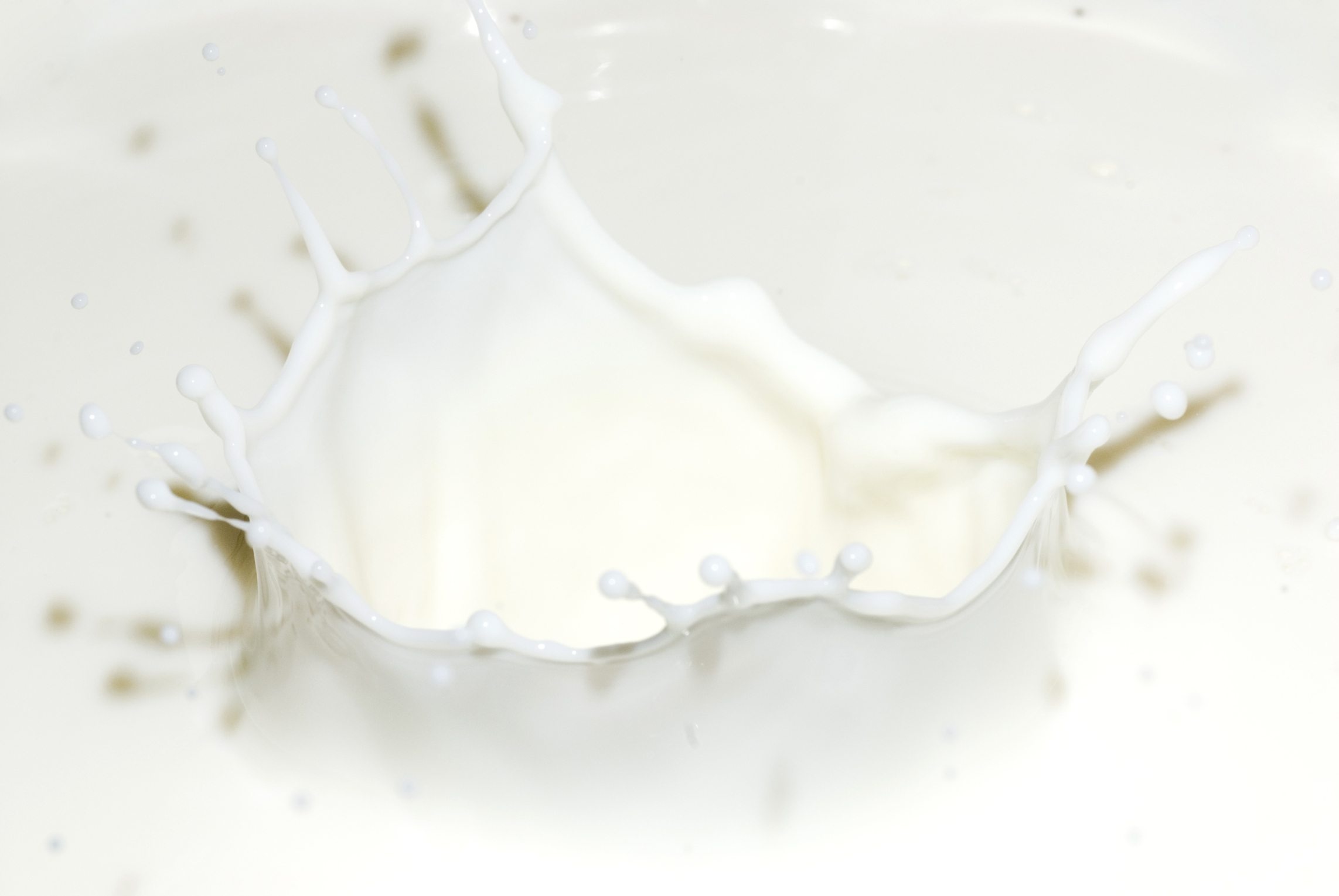 Milk: Six billion people consume dairy products, Liquid. 2290x1530 HD Background.
