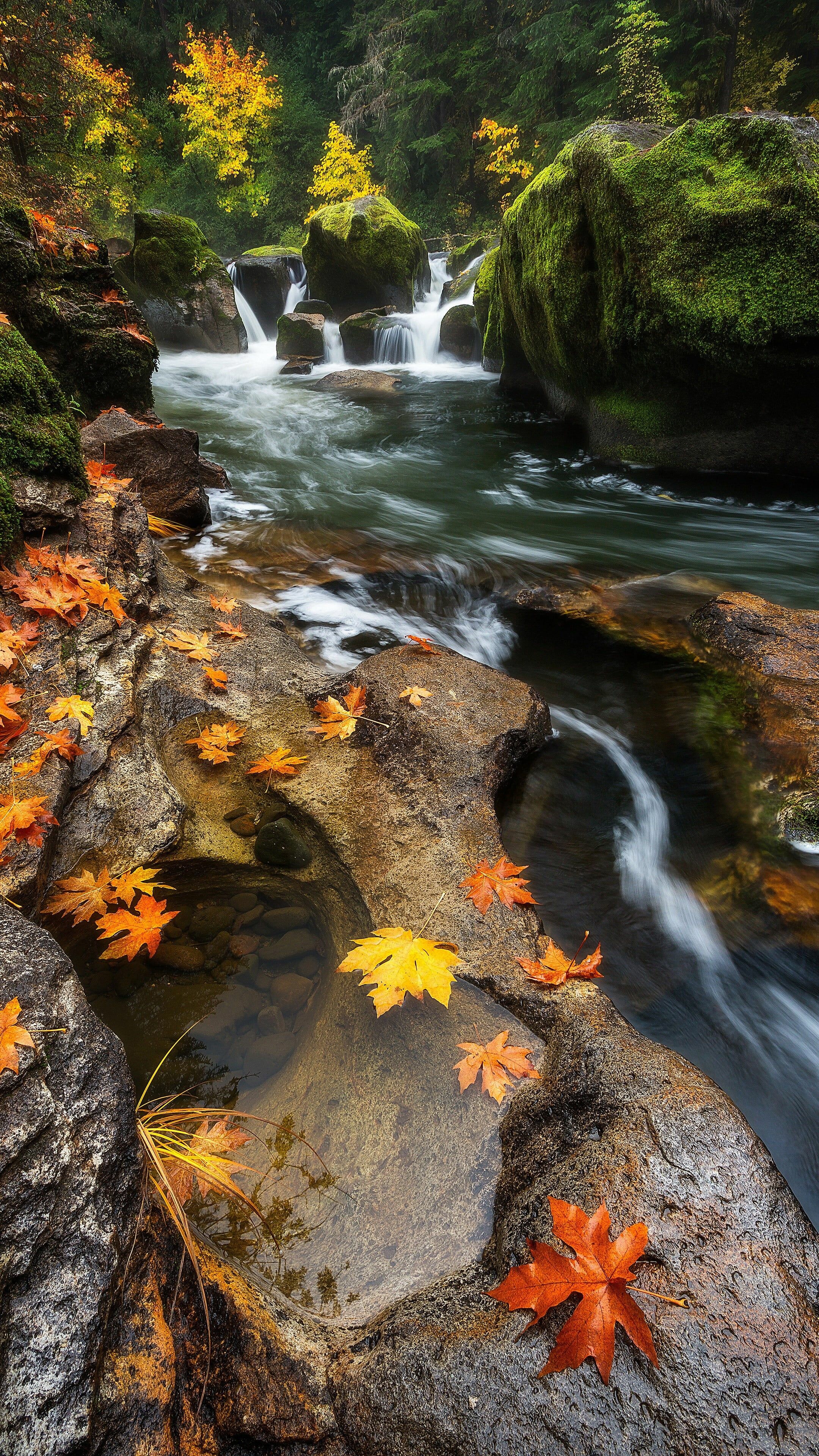 River: Waterfalls, Nature, An intermittent watercourse can be dry for several years at a time. 2160x3840 4K Background.