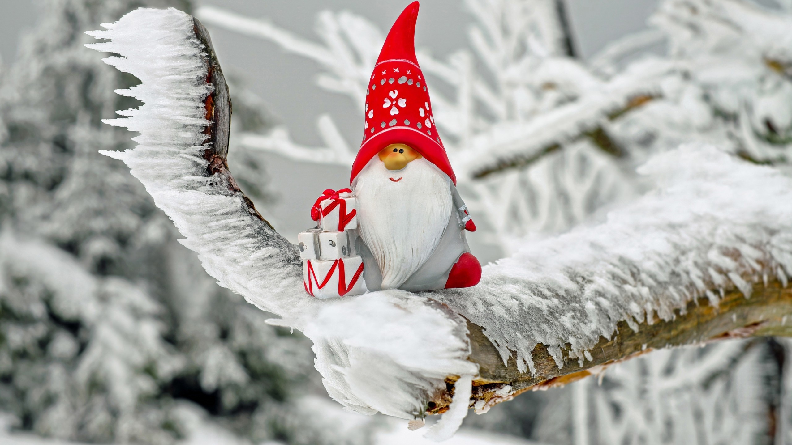 Christmas wallpaper, Santa Claus, Winter wonderland, Festive ambiance, 2560x1440 HD Desktop