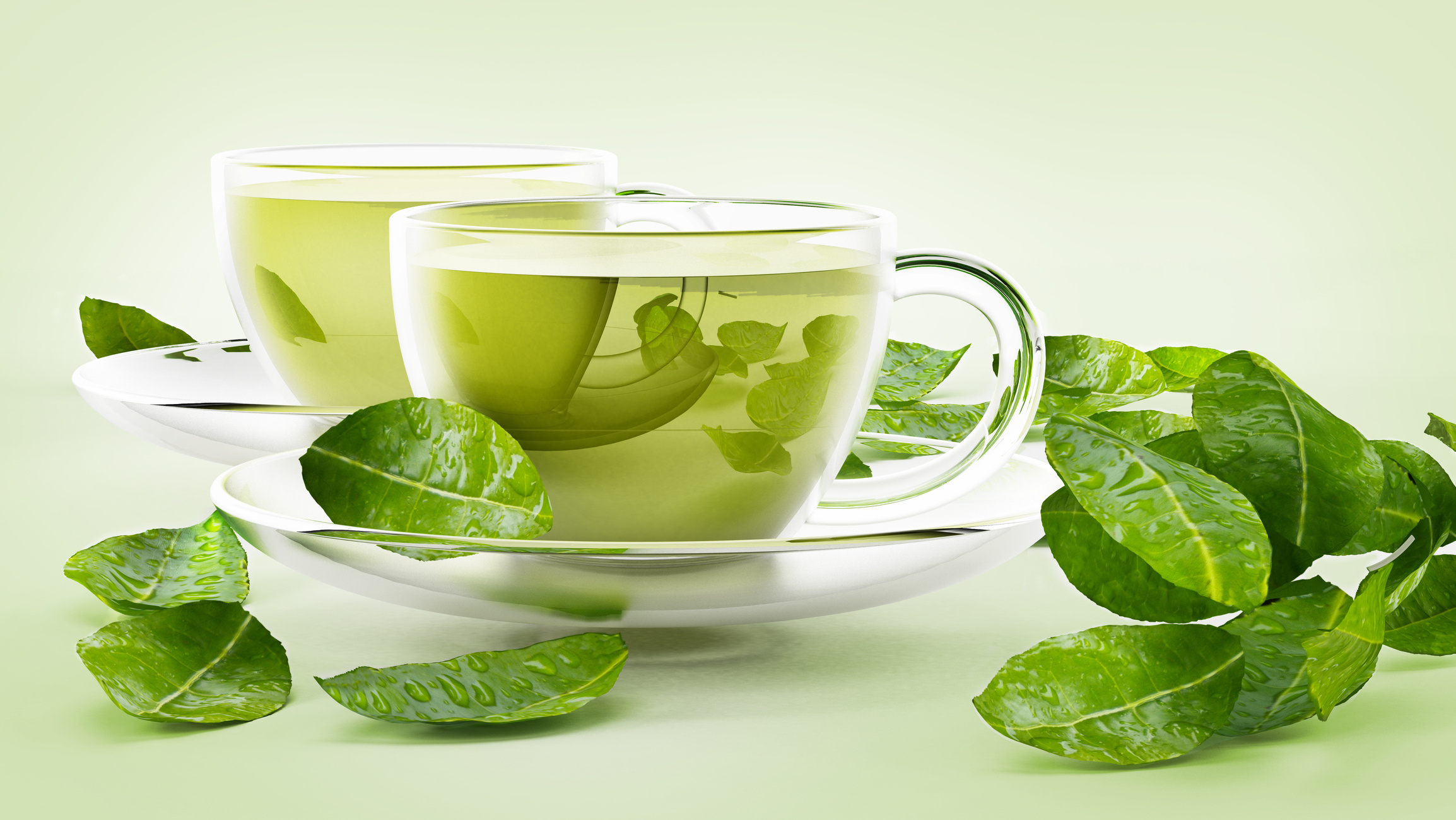 Tea: Relatively high in caffeine, having about one-fourth the amount of coffee. 2310x1300 HD Wallpaper.