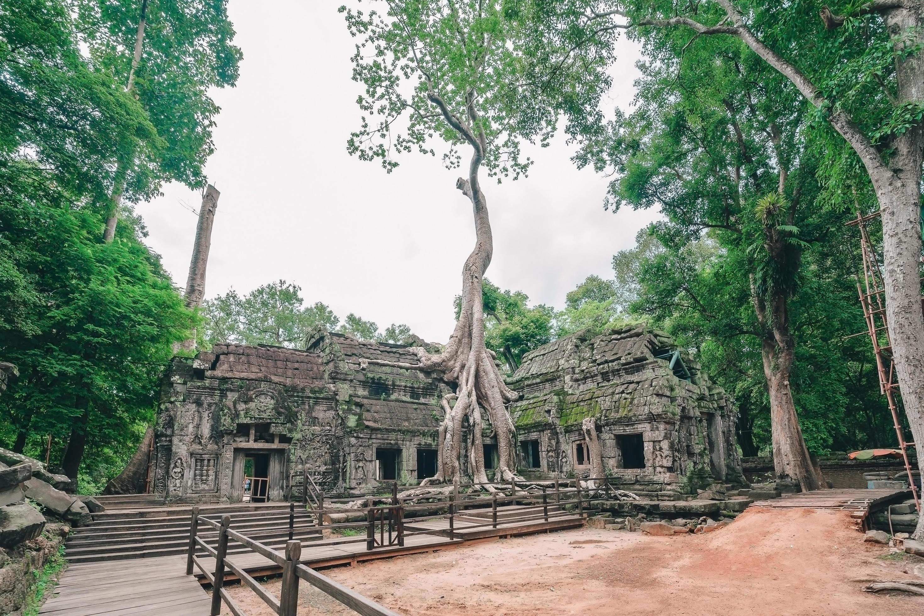 Ta Prohm temple, Angkor Siem Reap, Overgrown trees, Serene architecture, 2940x1960 HD Desktop