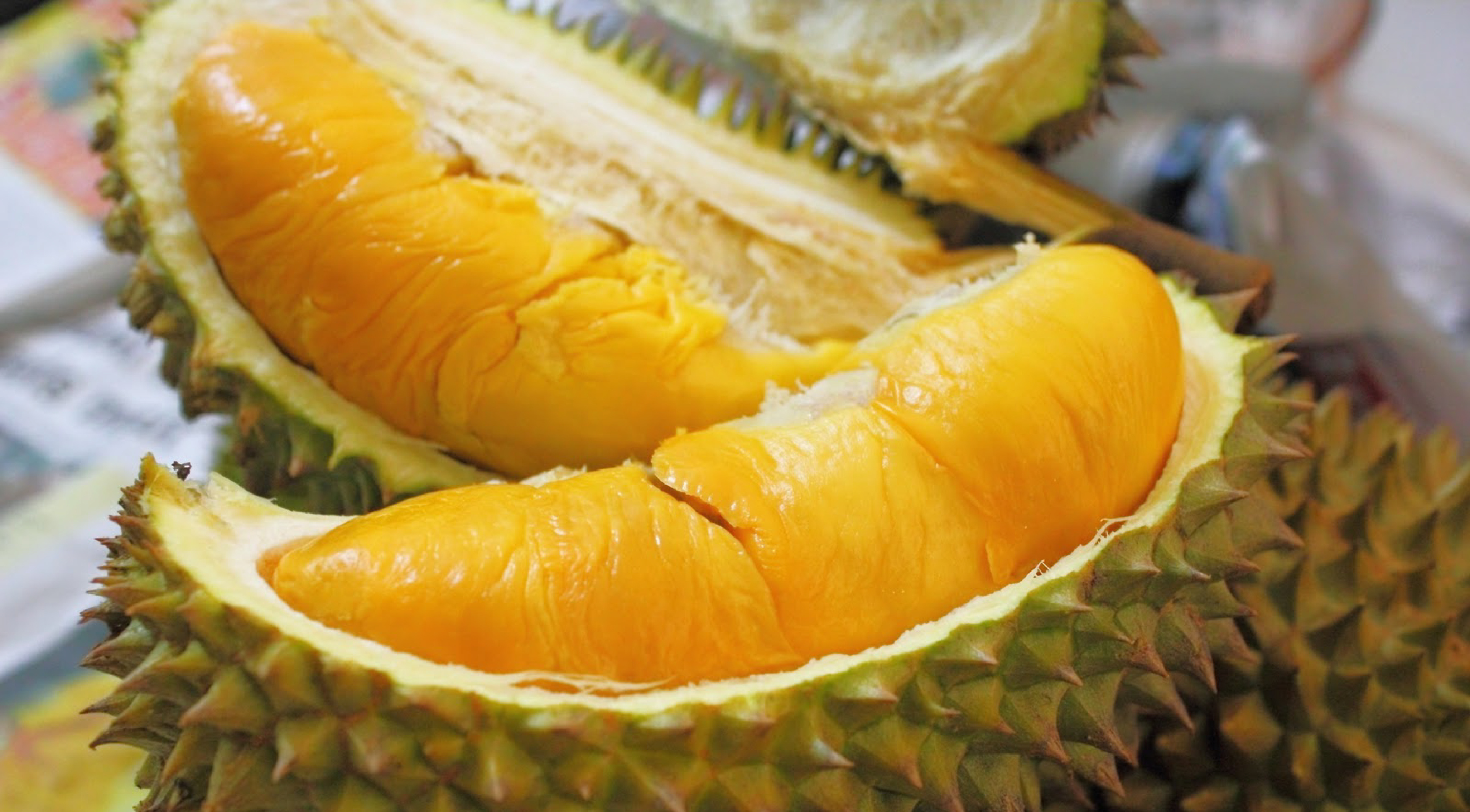 Durian: Durio zibethinus, The only species available in the international market. 3510x1940 HD Wallpaper.