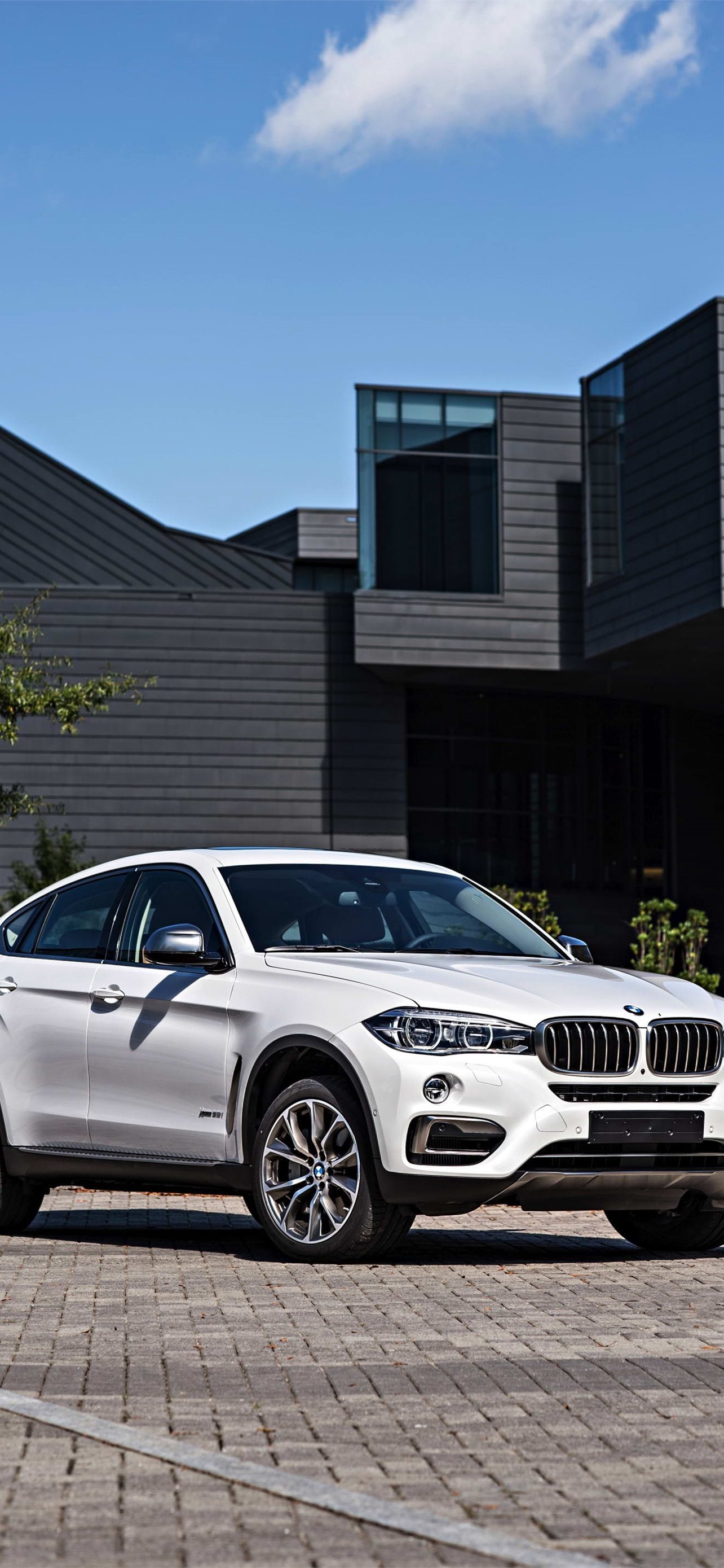 BMW X6, Red elegance, iPhone wallpapers, Eye-catching charisma, 1290x2780 HD Phone