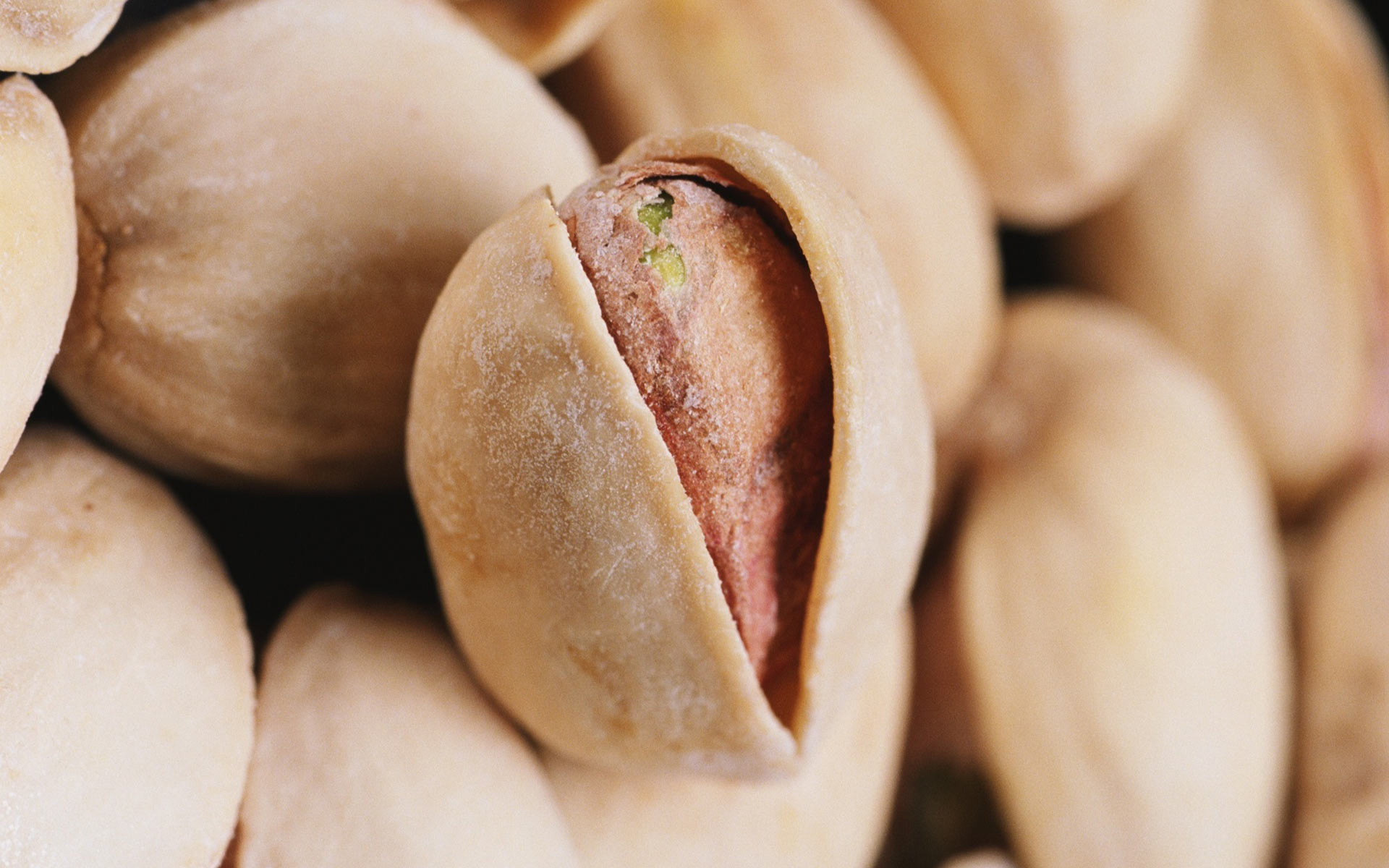 Nuts: Pistachio, The seed of a small, plum-like fruit, or drupe. 1920x1200 HD Wallpaper.