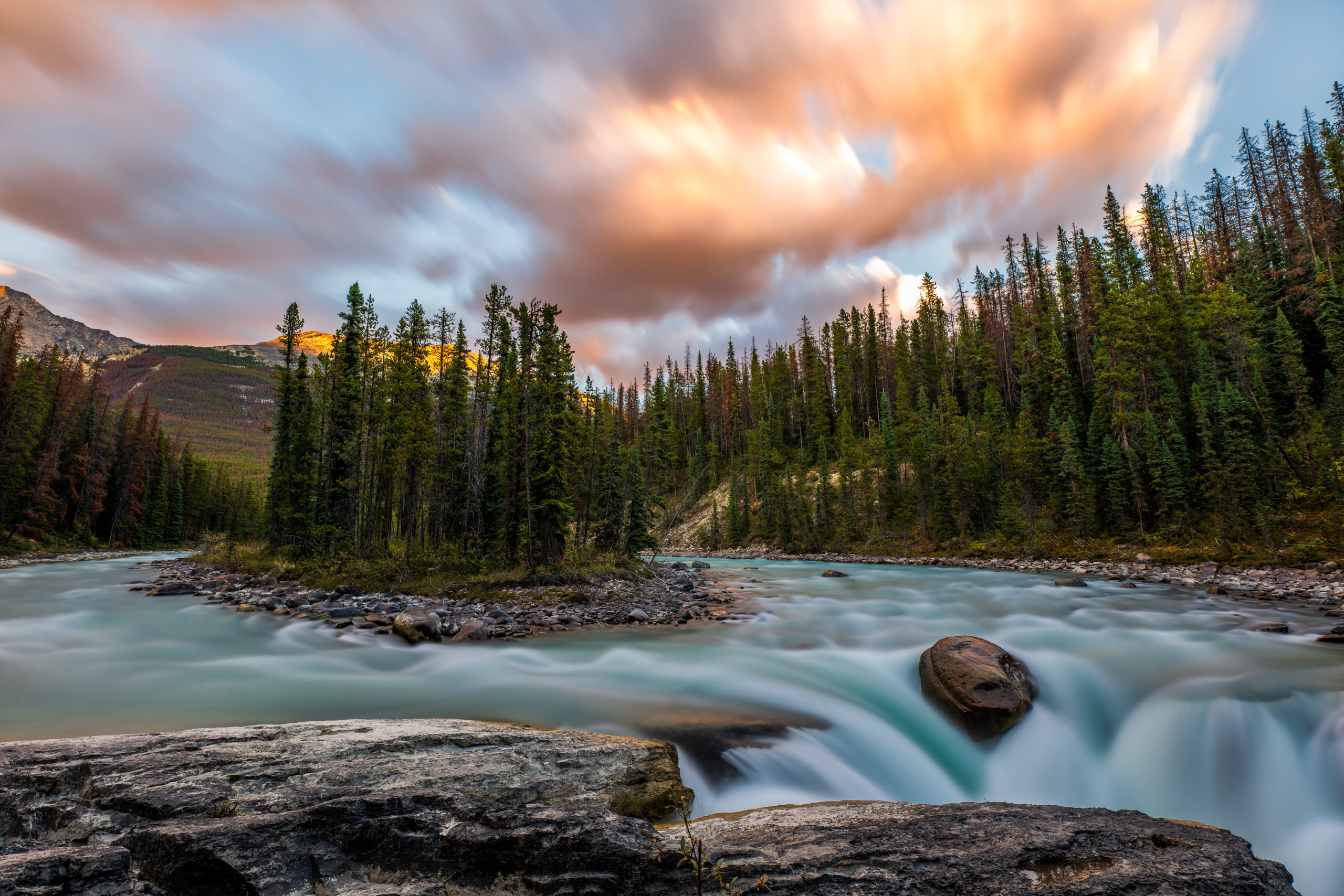 Jasper National Park, Protecting nature, Conservation efforts, Alberta's treasure, 2560x1710 HD Desktop