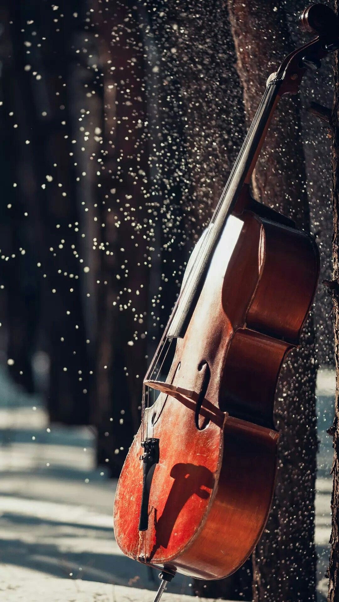 Double Bass: Cello Instrument, A Bowed String Instrument Of The Violin Family. 1080x1920 Full HD Wallpaper.