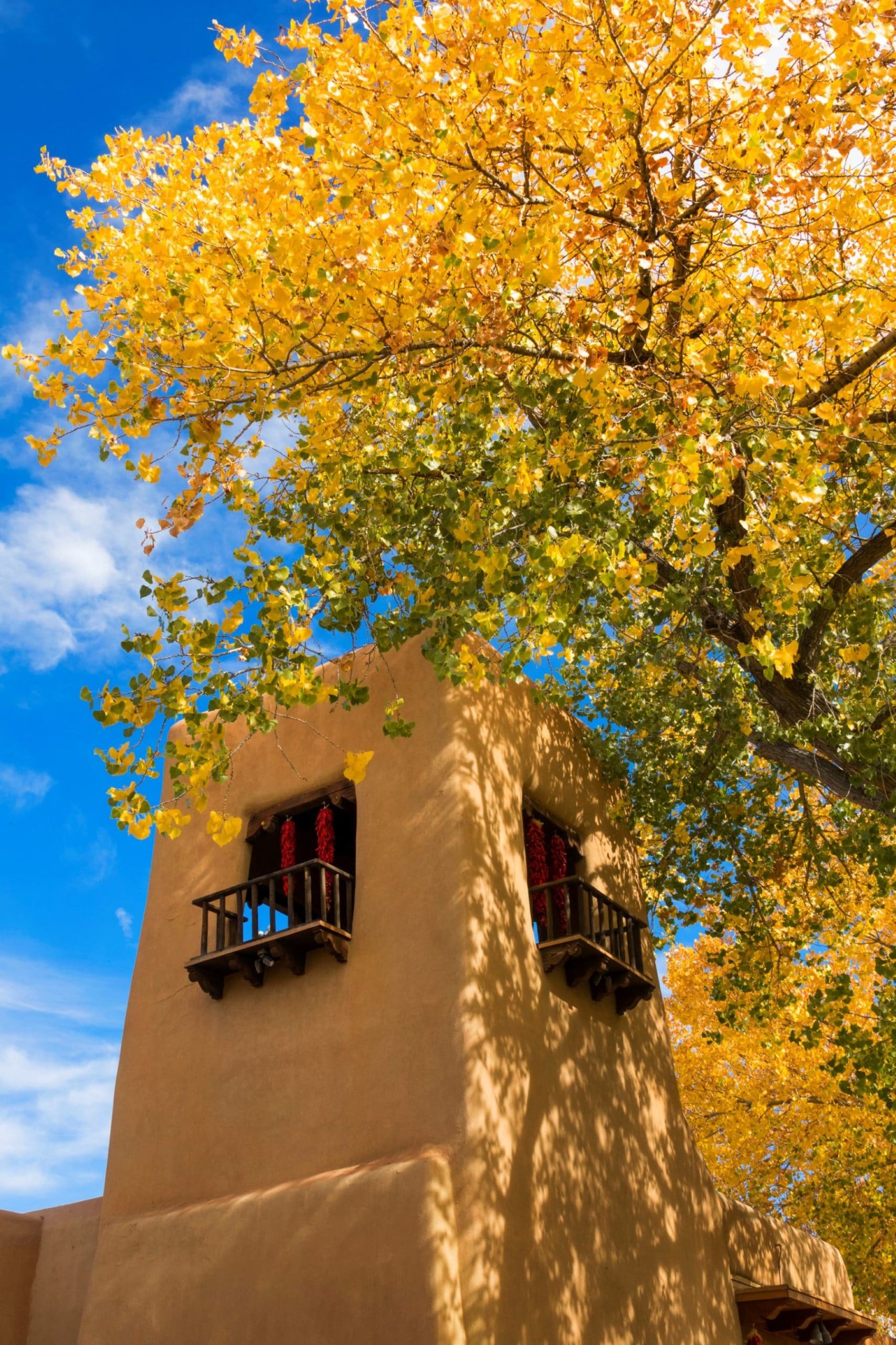 Best things to do in Santa Fe, November attractions, Cozy bed and breakfast, Memorable experiences, 1710x2560 HD Phone