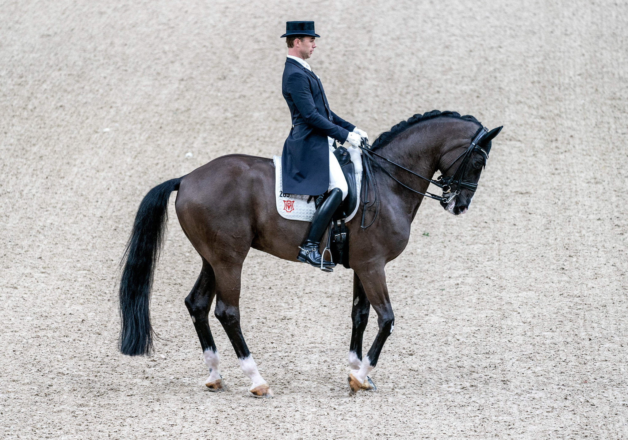 Dressage: Dressage riders in top hats, International Federation for Equestrian Sports, FEI. 2050x1440 HD Background.