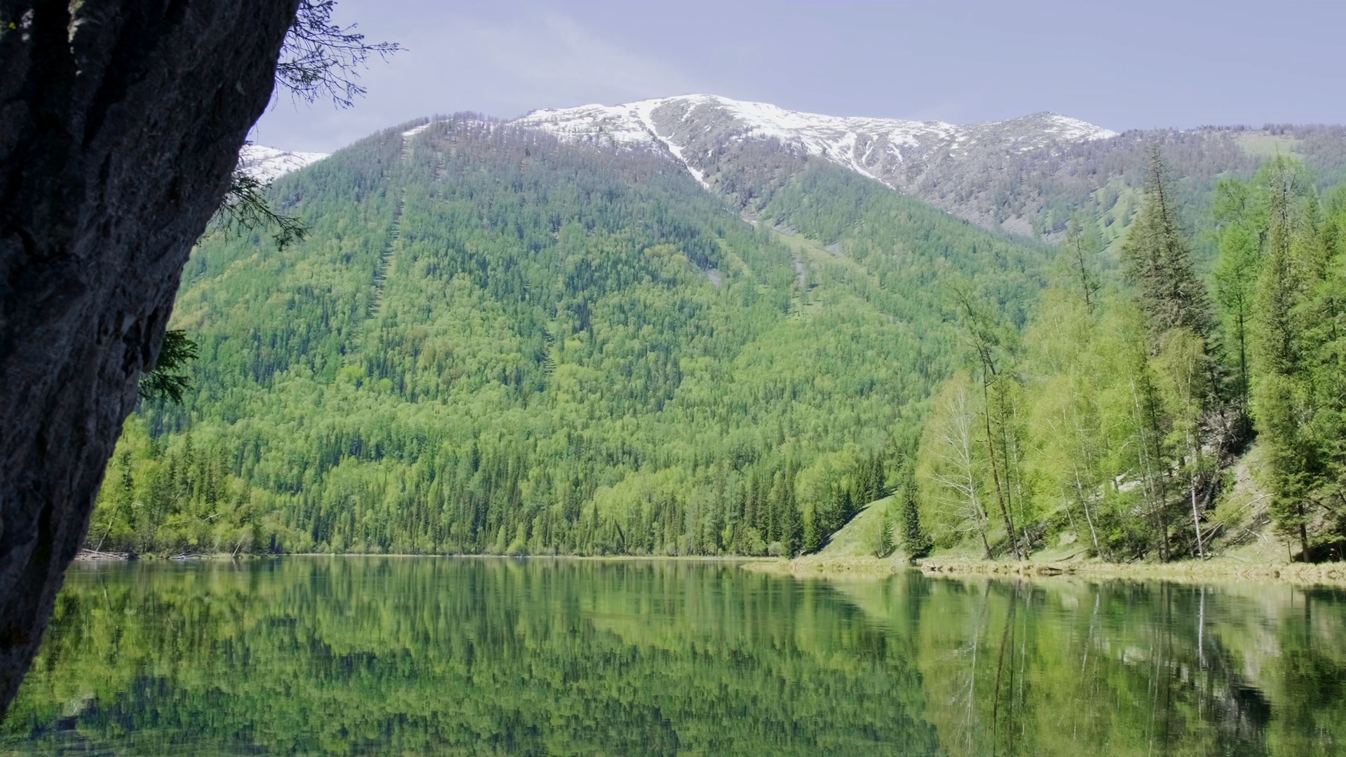 Altai Mountains, Taiga forest, Nature series, CGTN, 1920x1080 Full HD Desktop