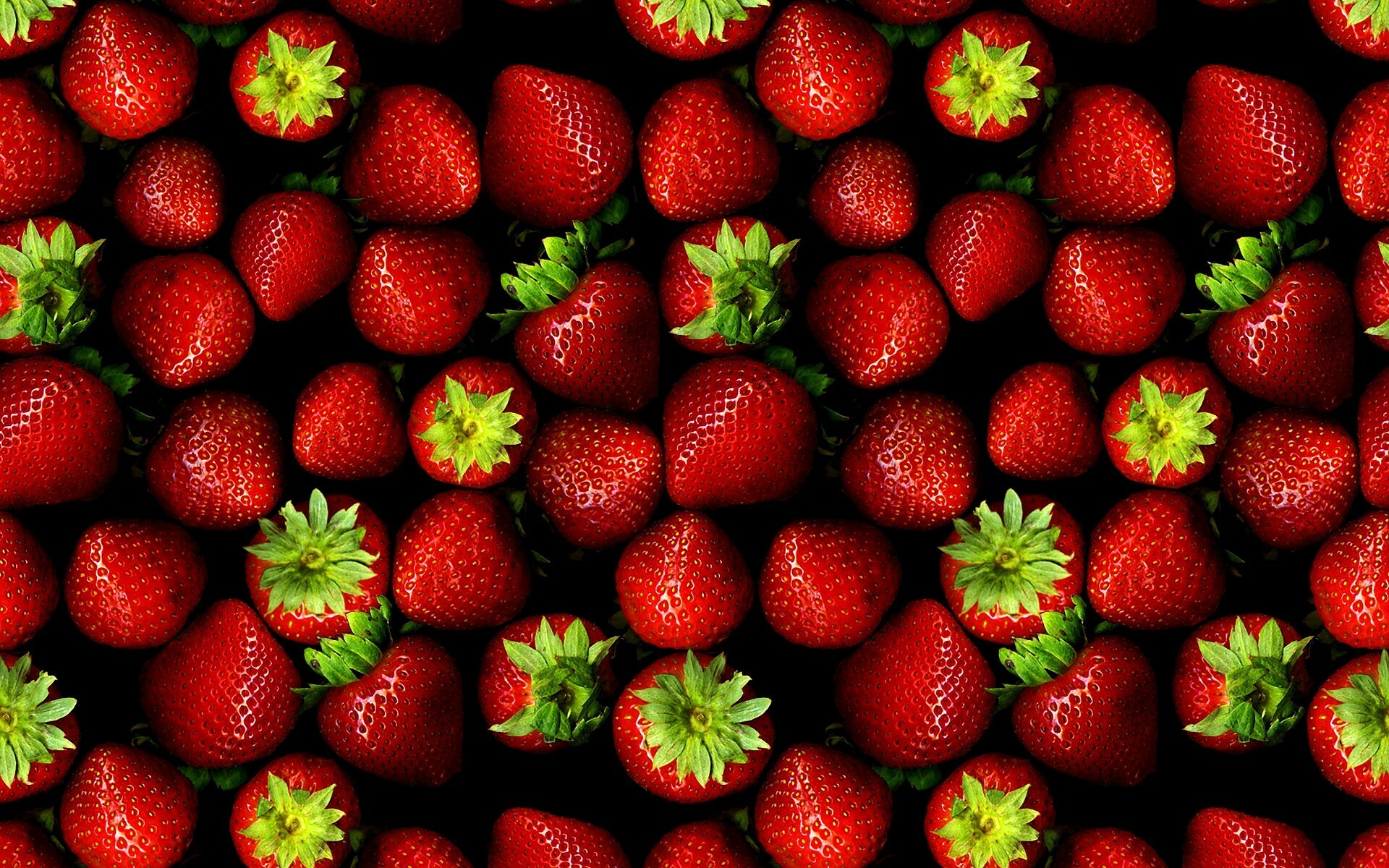 Fruit: The garden strawberry, First bred in Brittany, France, in the 1750s. 1920x1200 HD Background.