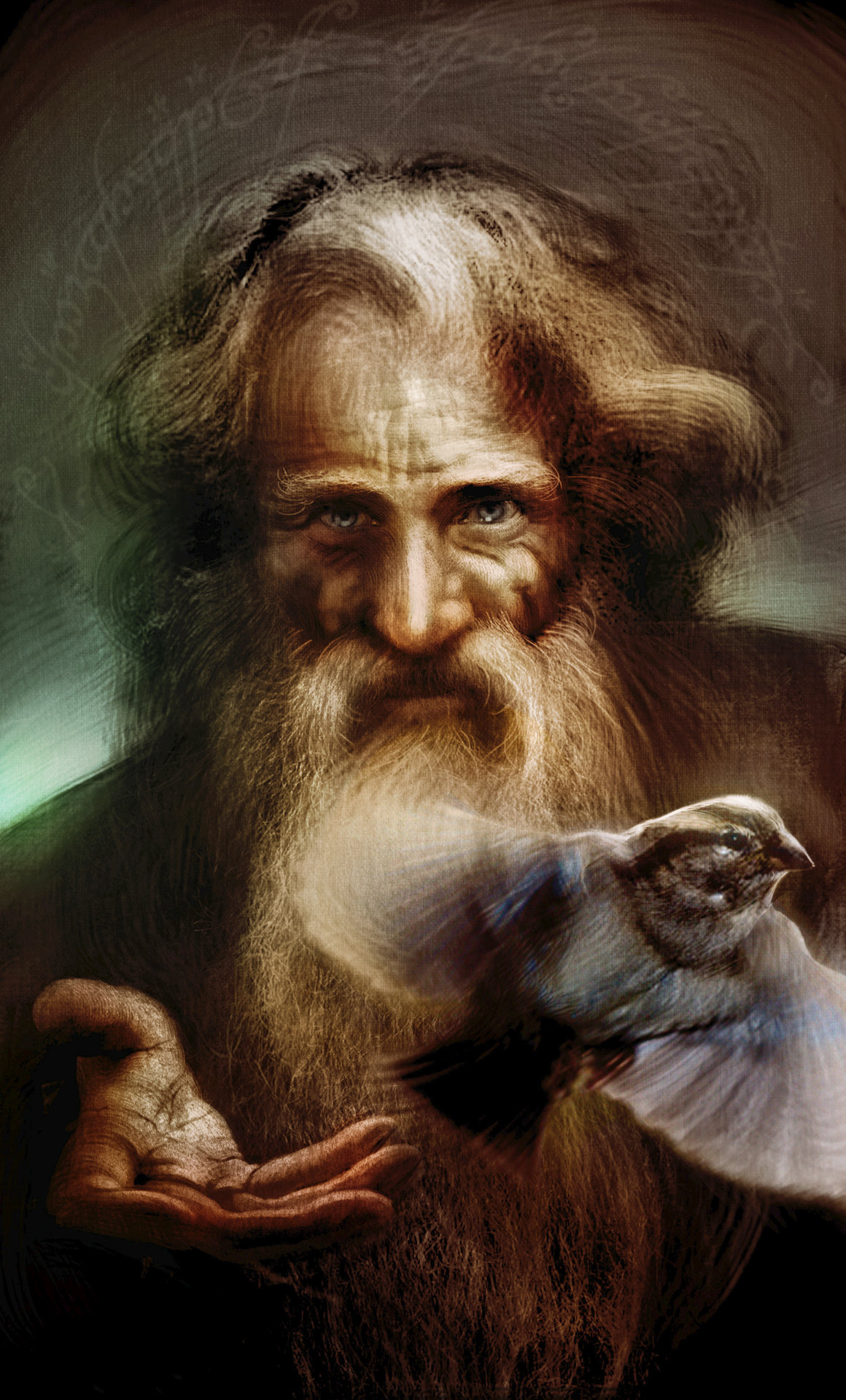 Radagast the Brown, Mysterious wizard, Lord of the Rings, Fabio Leone, 1160x1920 HD Handy