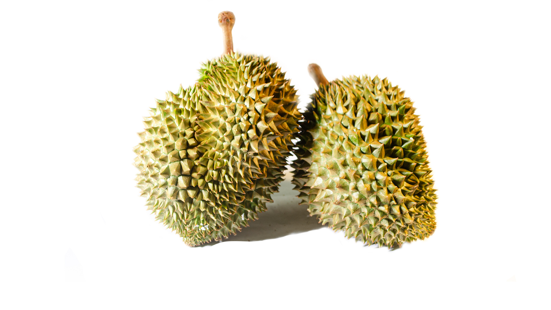 Durian: Strong odor and unique flavor can be overpowering. 1920x1080 Full HD Wallpaper.