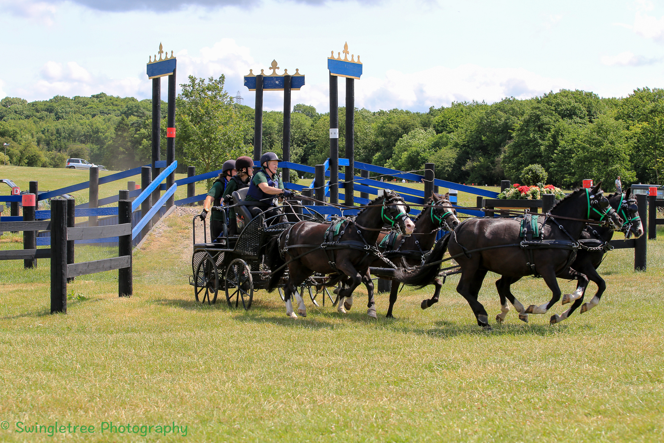 Carriage driving sports, Carriage driving lessons, Courses, 2130x1420 HD Desktop