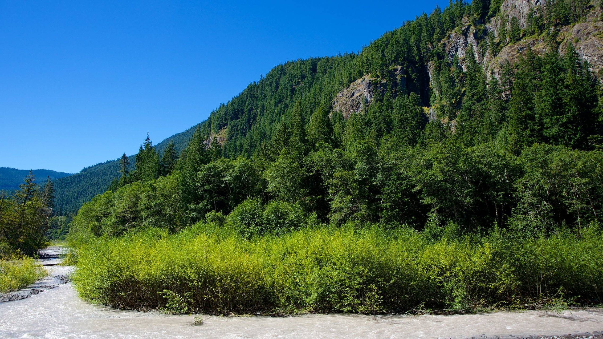Mount Rainier National Park, US vacation rentals, 2560x1440 HD Desktop