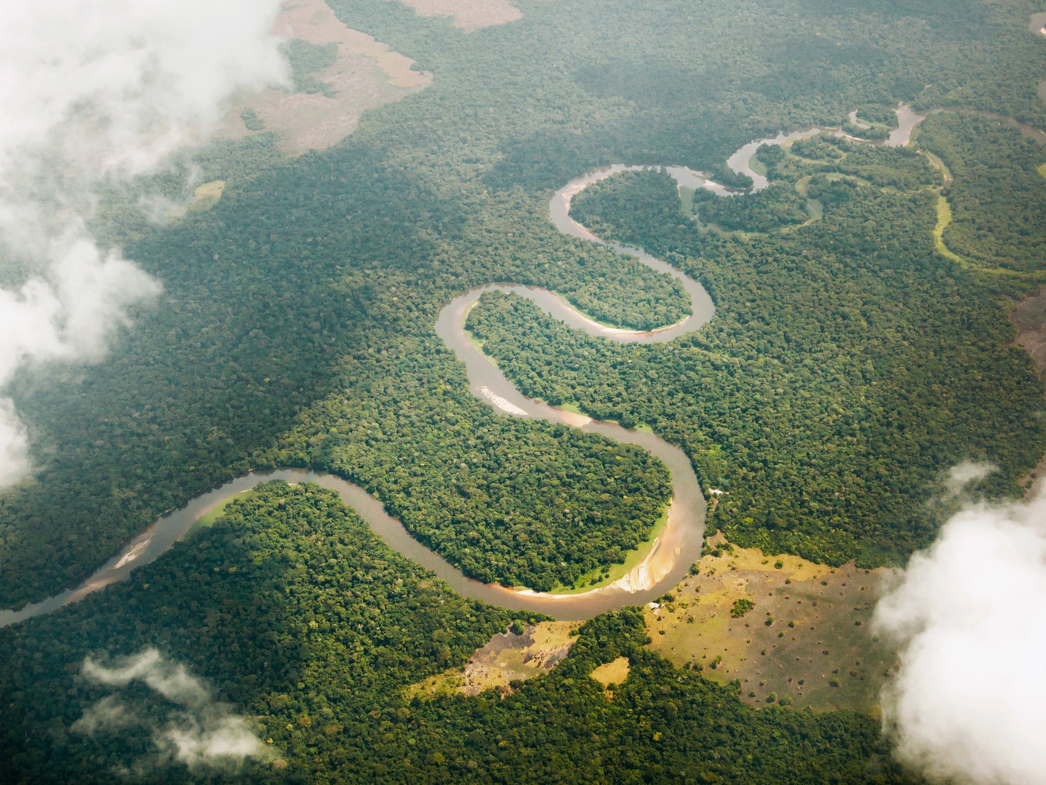 Amazon River, World's deepest river, Untouched wilderness, Breathtaking nature, 2050x1540 HD Desktop