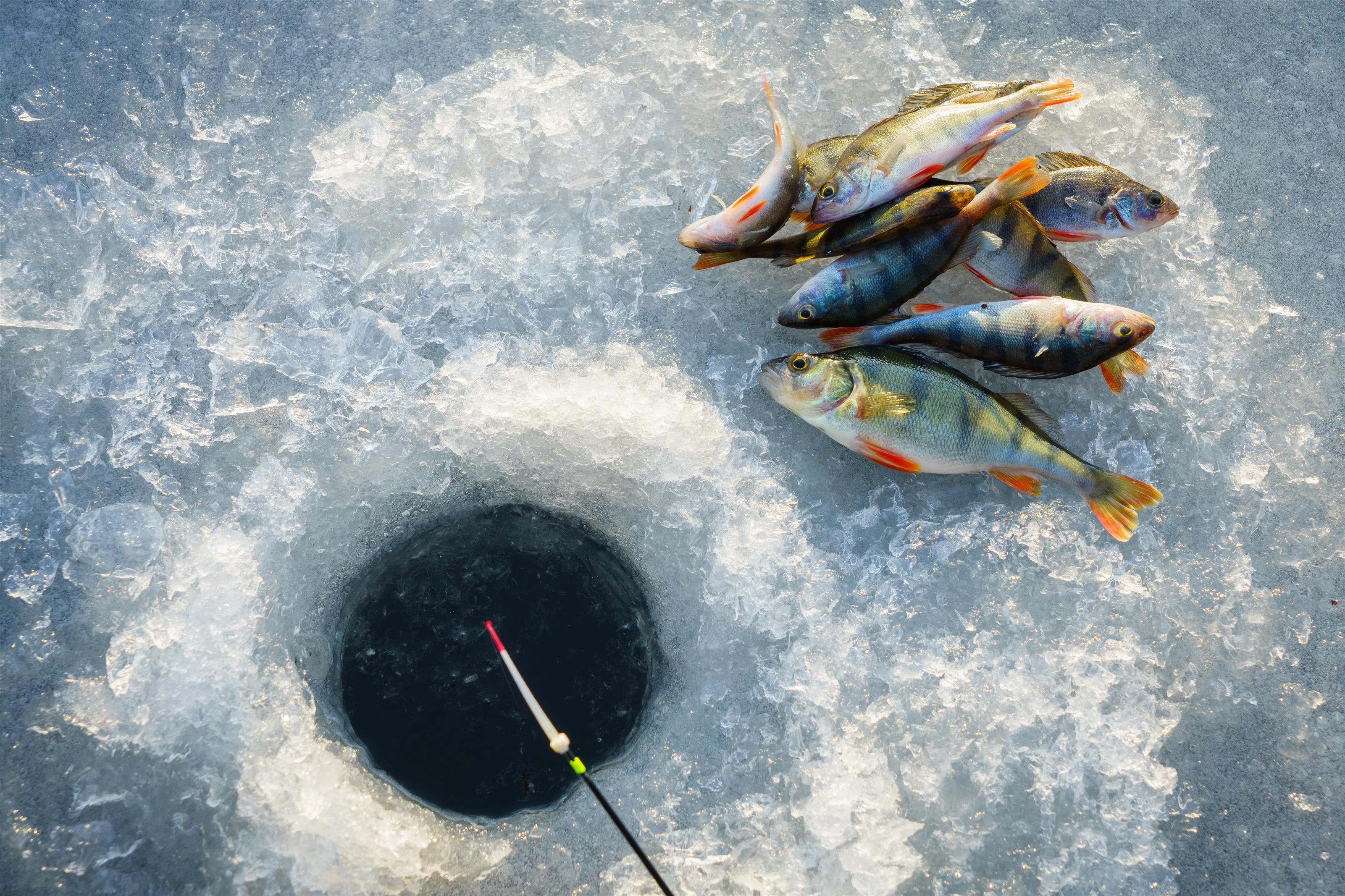 Ice Fishing, Ice fishing adventures, Winter angling, Frozen landscapes, 3210x2140 HD Desktop