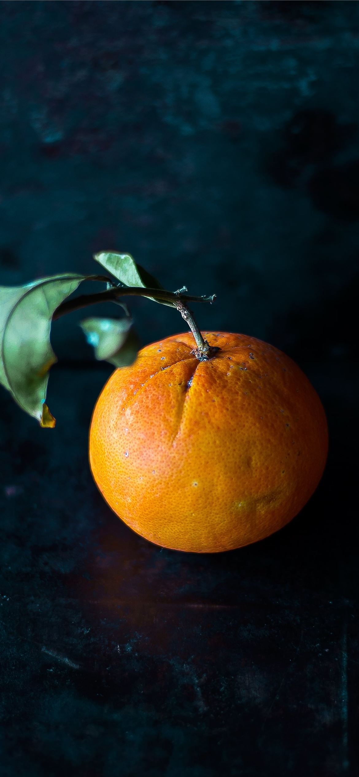 Orange: One of the most consumed fruits in the world. 1170x2540 HD Background.