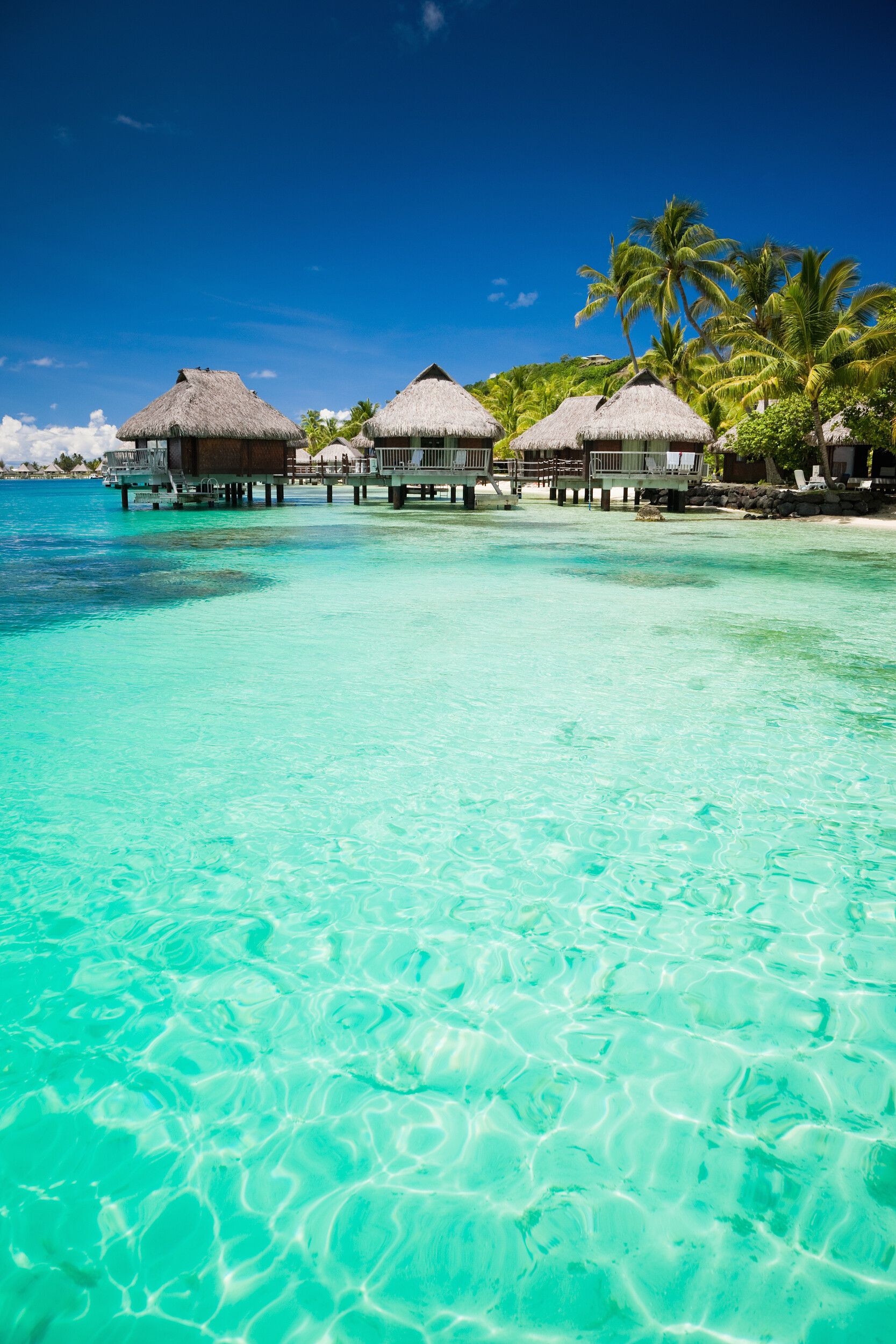 Tahiti: The island known for wide white-sand beaches, Turquoise waters. 1670x2500 HD Background.