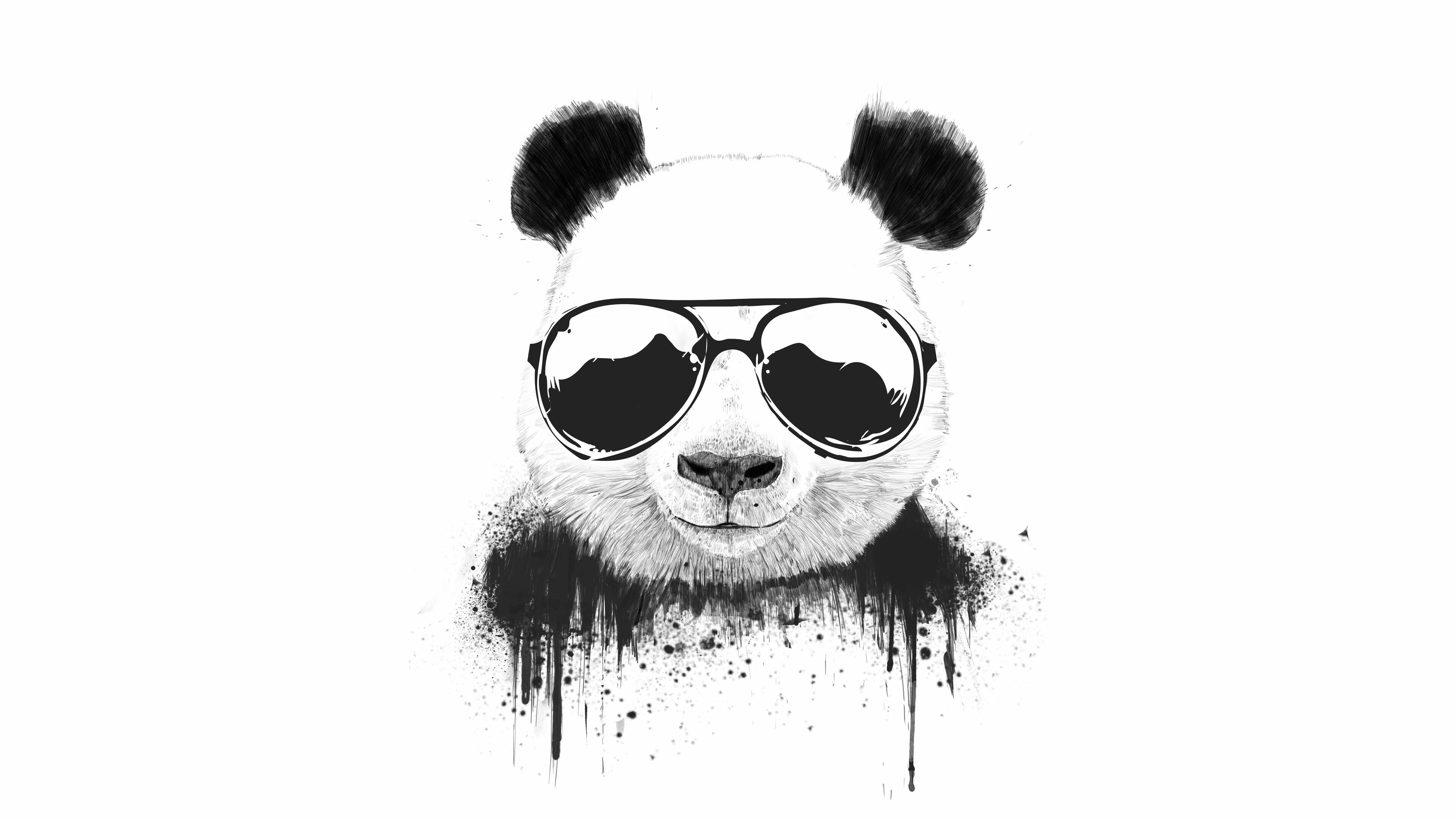 Panda: A mammal with distinct black-and-white markings, Minimalistic. 3840x2160 4K Wallpaper.