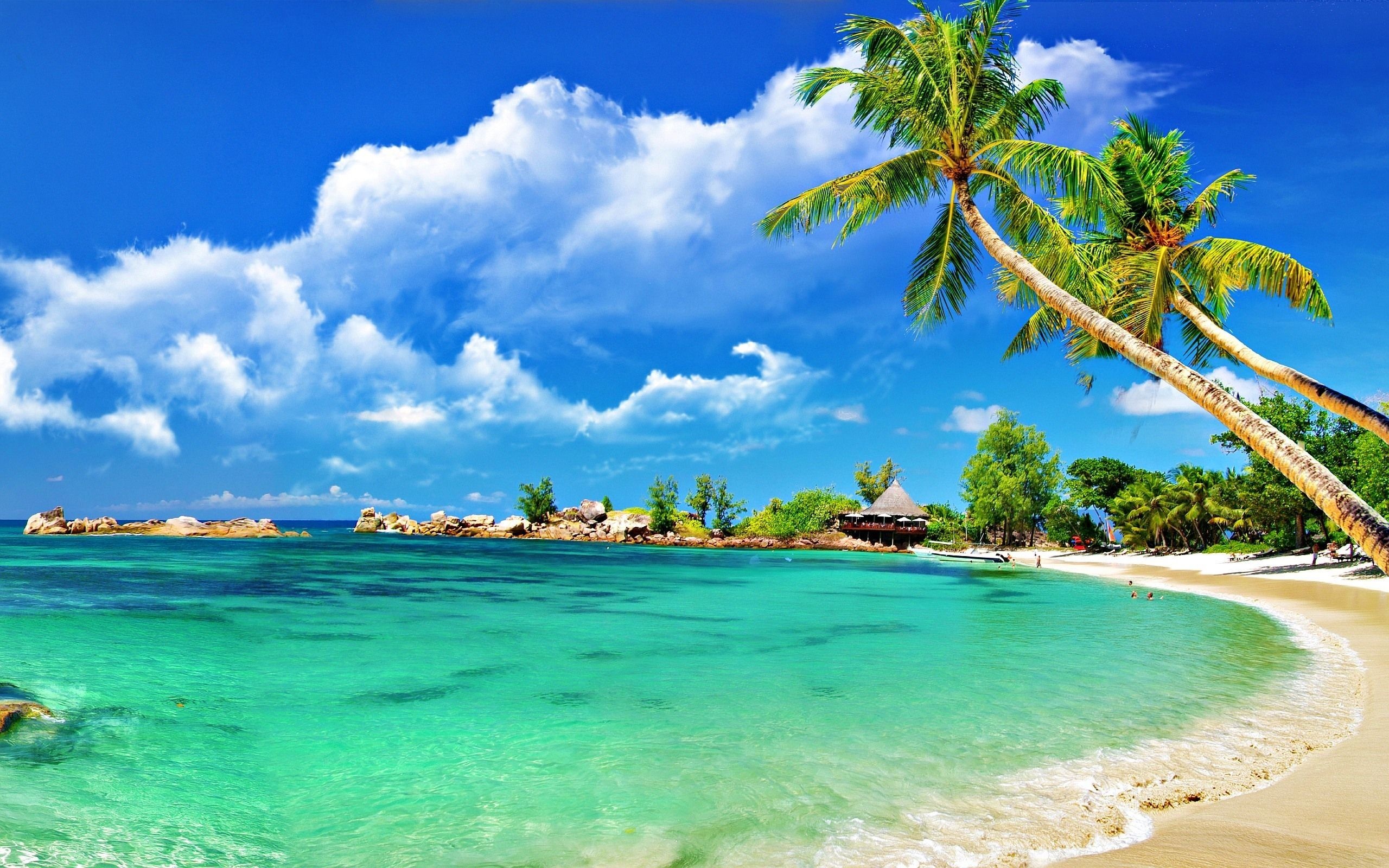 Fiji Bliss, Tropical Paradise, Stunning Wallpapers, Coastal Delight, 2560x1600 HD Desktop