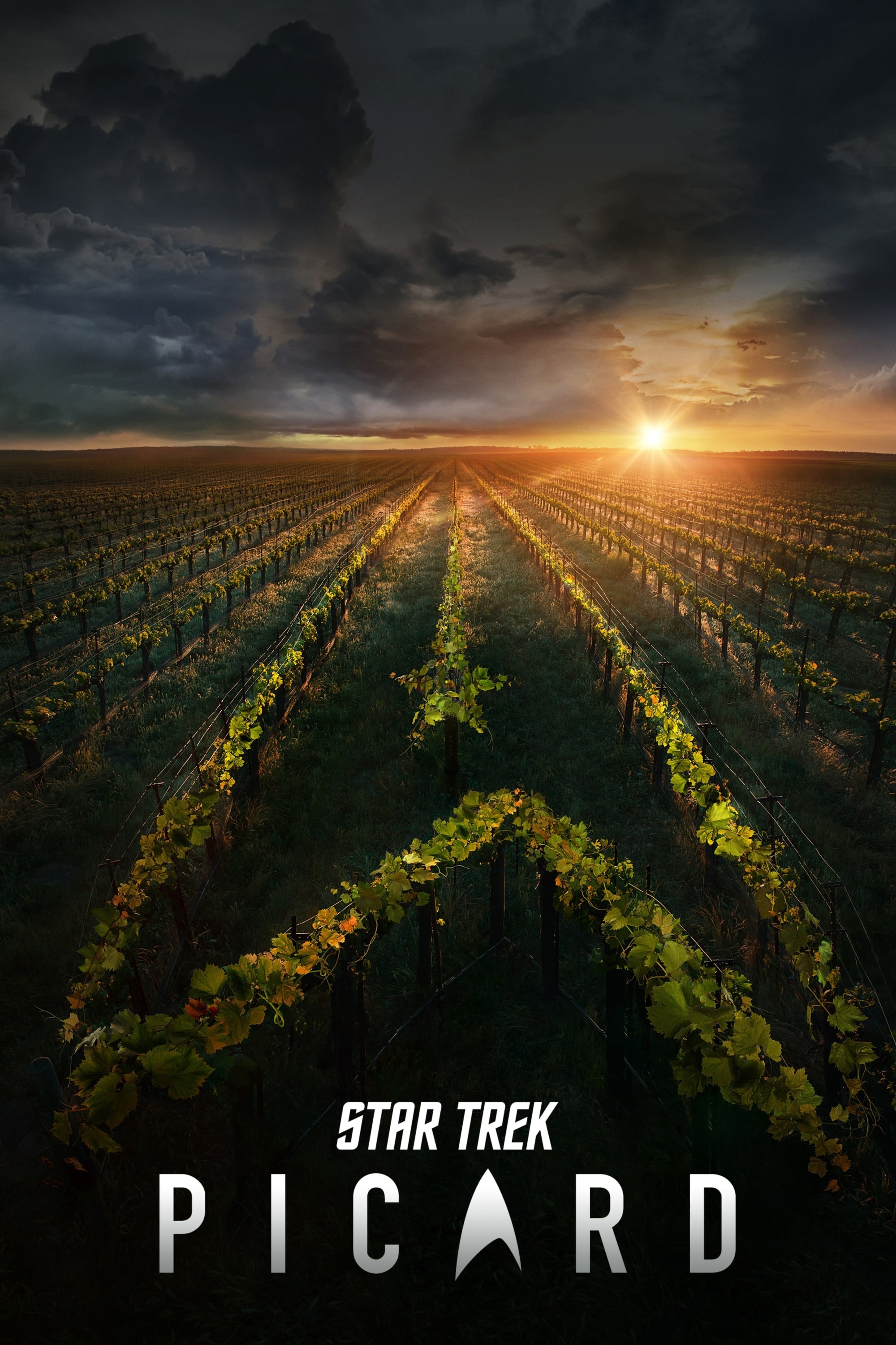 Star Trek: Picard, TV Series, 2020, Poster, 2000x3000 HD Handy