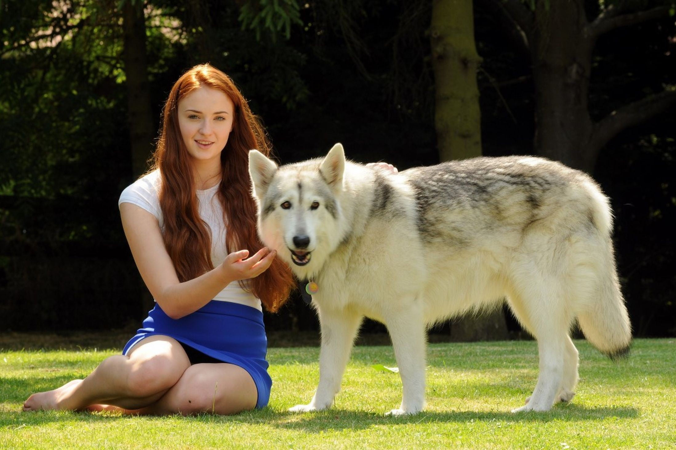 Sophie Turner: Adopted Zunni, the Northern Inuit dog who played Sansa Stark's dire wolf, Lady. 2200x1470 HD Background.