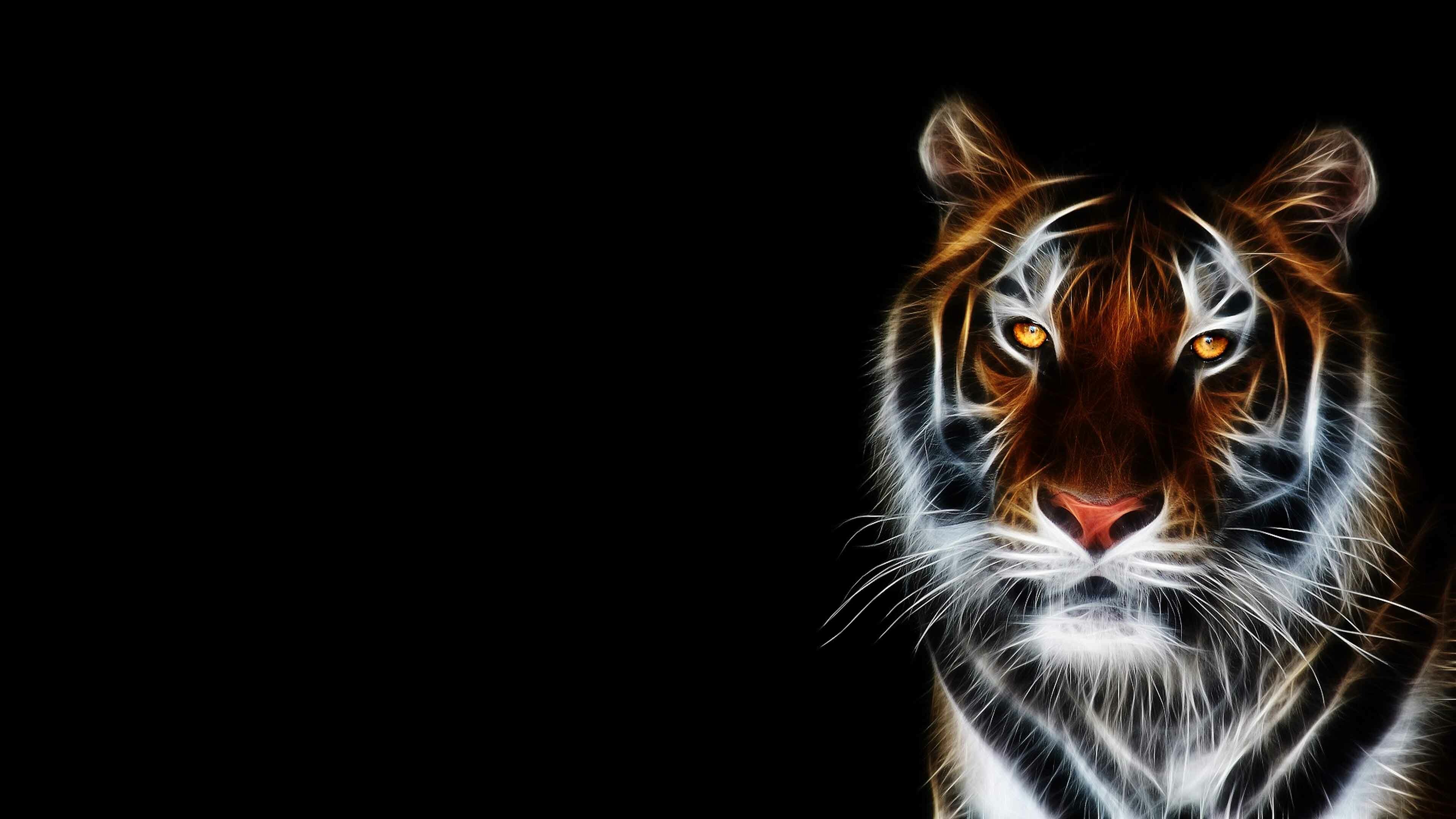 Tiger: It is most recognizable for its dark vertical stripes on orange fur with a white underside, Big cats. 3840x2160 4K Background.