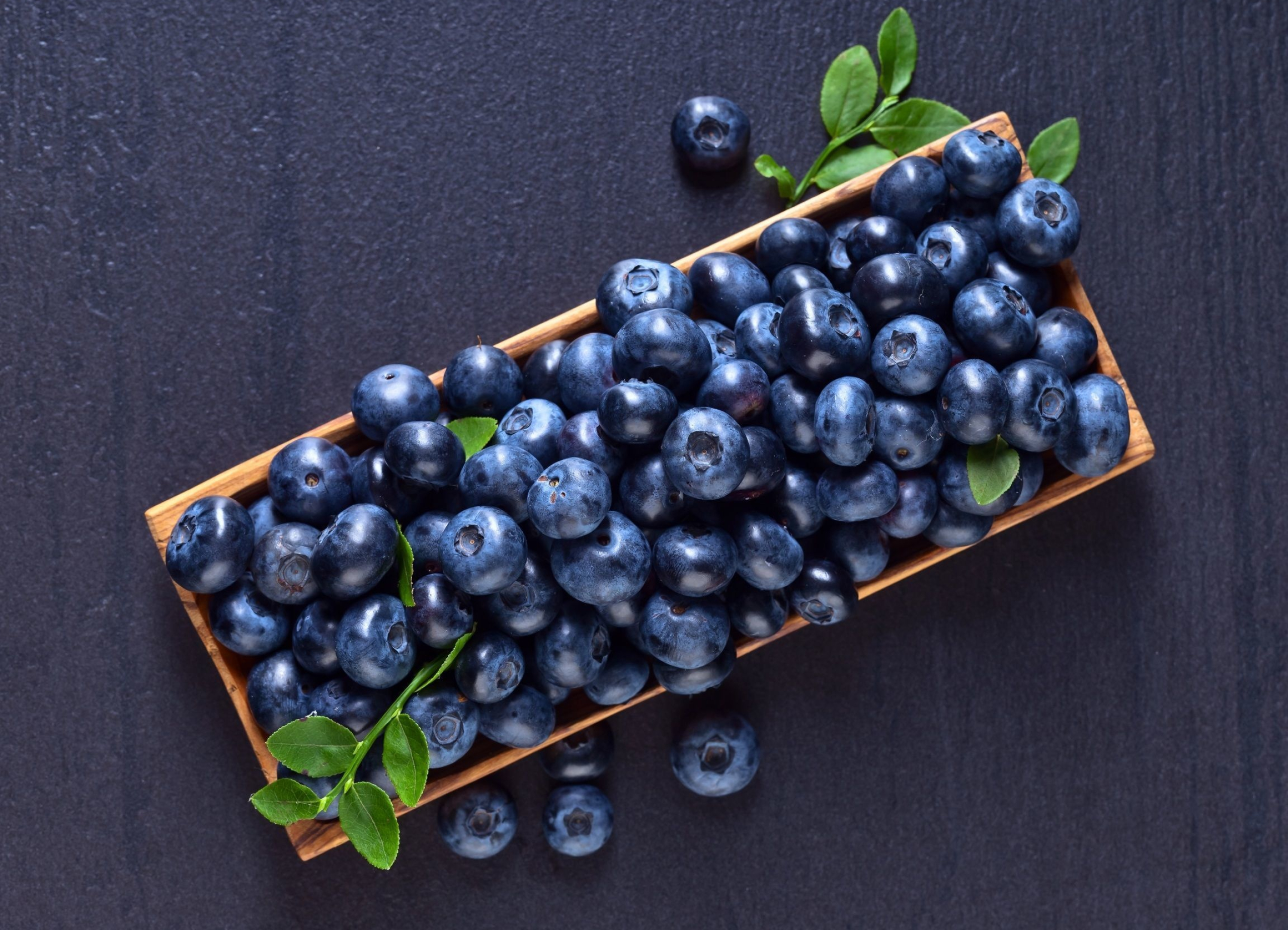 Vibrant blueberries, Fruity refreshment, Burst of flavor, Delicious dessert, 2560x1850 HD Desktop