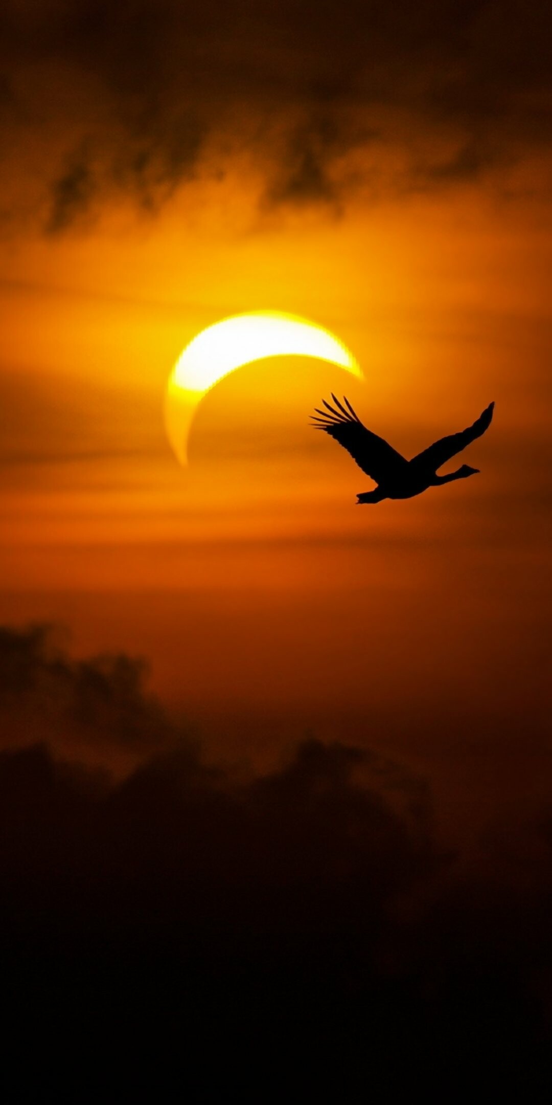 Sonnenfinsternis (Natur), Sonnenfinsternis, Himmlisches Ereignis, Auergewhnlicher Anblick, Astronomisches Wunder, 1080x2160 HD Handy