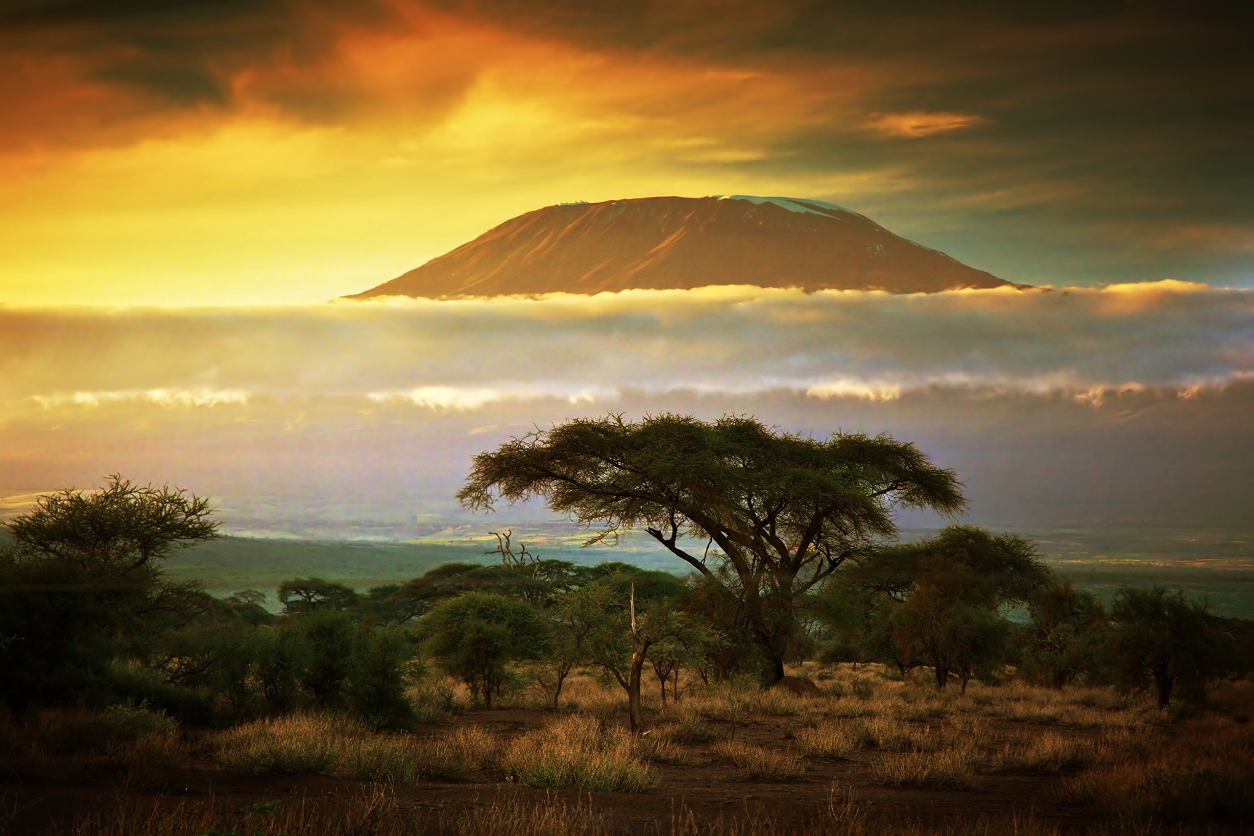 Kilimanjaro, Travels, Mural wallpaper, Nature scenery, 2560x1710 HD Desktop