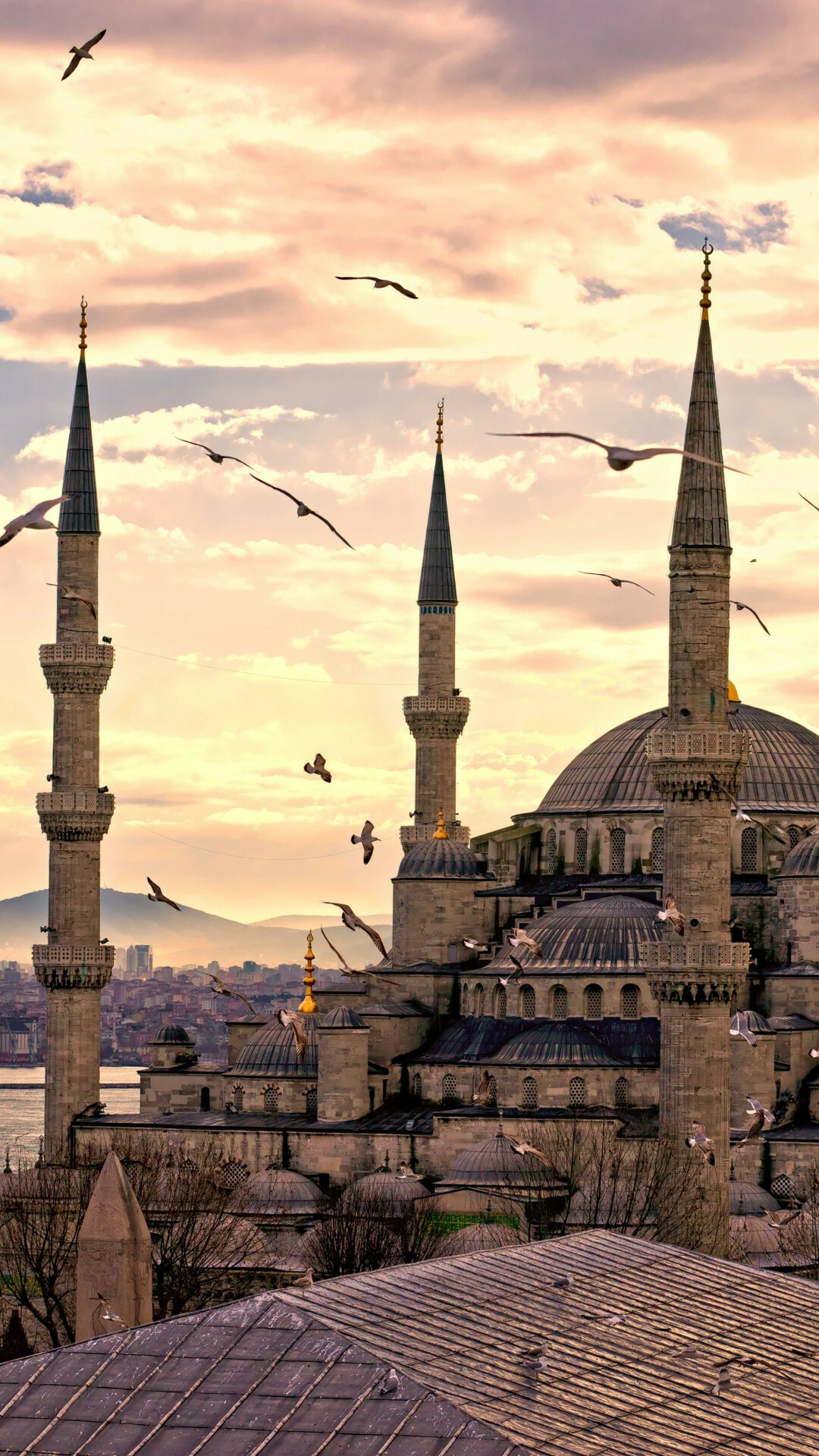 Turkey: Istanbul, Sultan Ahmed Mosque, Cityscape, Architecture, Blue Mosque. 1080x1920 Full HD Wallpaper.