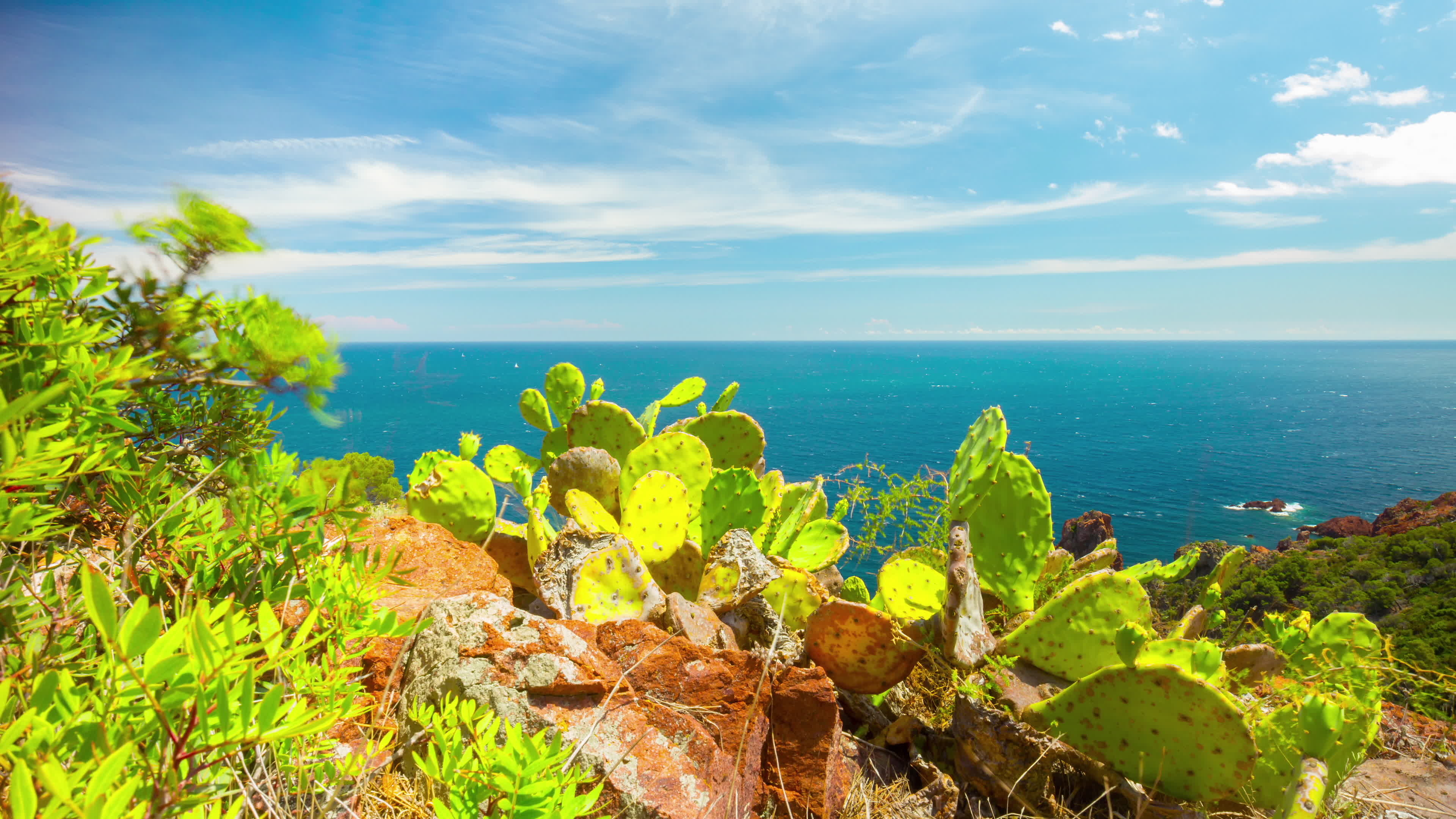 Mediterranean Sea, Mesmerizing time-lapse, Cactus and sea, Exquisite footage, 3840x2160 4K Desktop