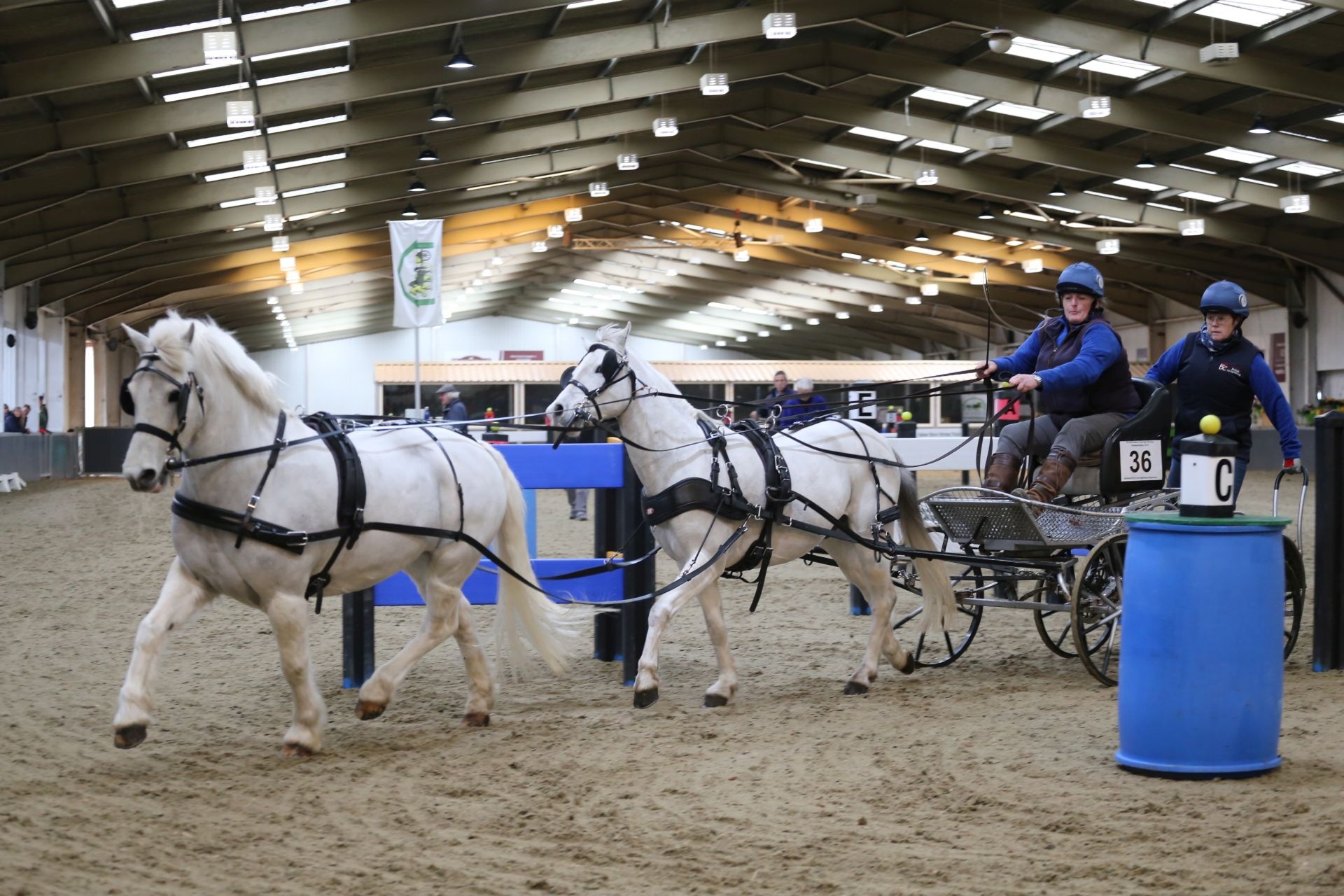 Carriage Driving, Indoor competition, United Kingdom, Equestrian sport, 1920x1280 HD Desktop