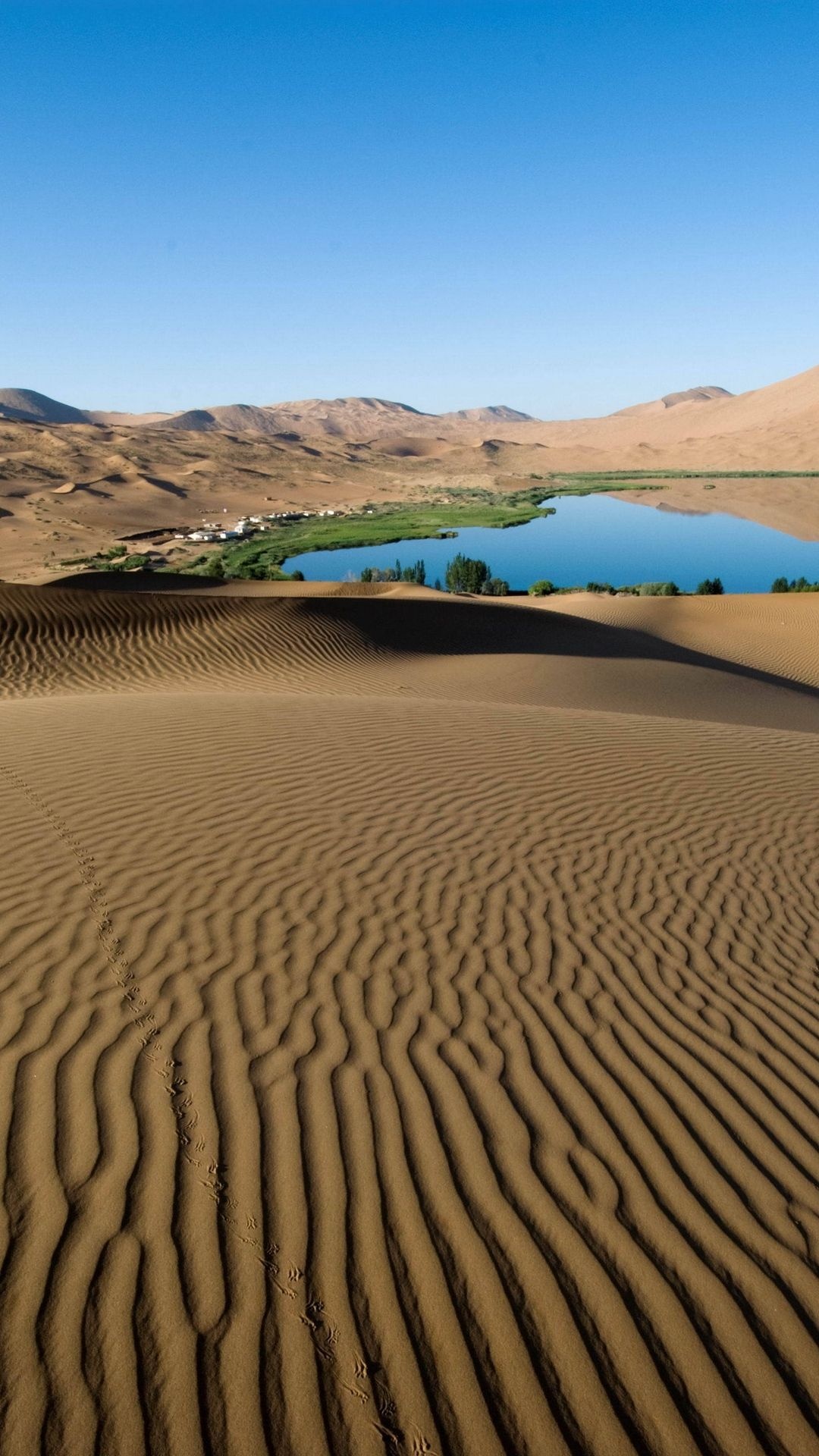 Gobi Desert, Oasis water, Tranquil scenes, Refreshing beauty, 1080x1920 Full HD Handy