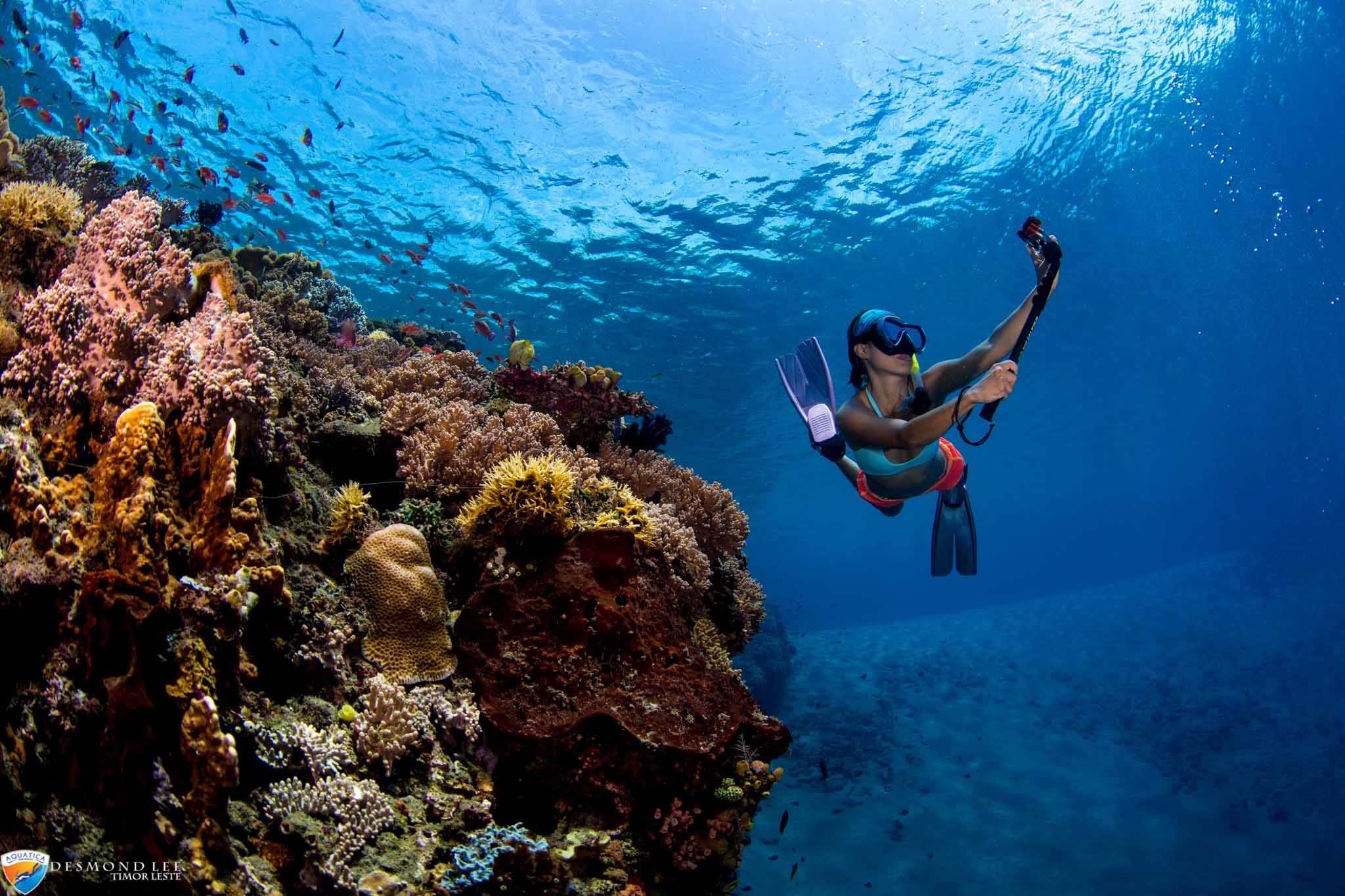Aquatica Dive Resort, Scuba diving, East Timor, Underwater paradise, 2050x1370 HD Desktop