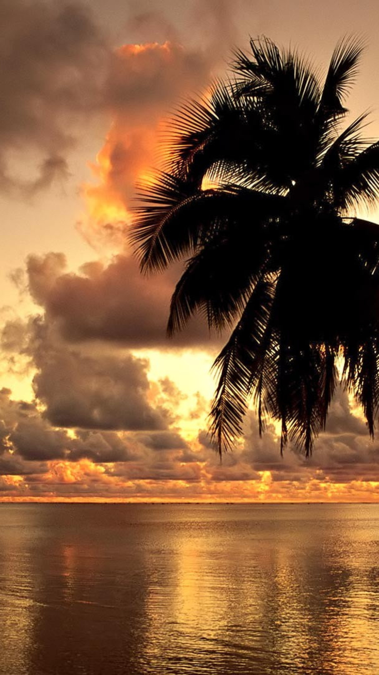 Hawaiian beach bliss, Stunning landscapes, Tranquil seas, Nature's splendor, 1440x2560 HD Phone