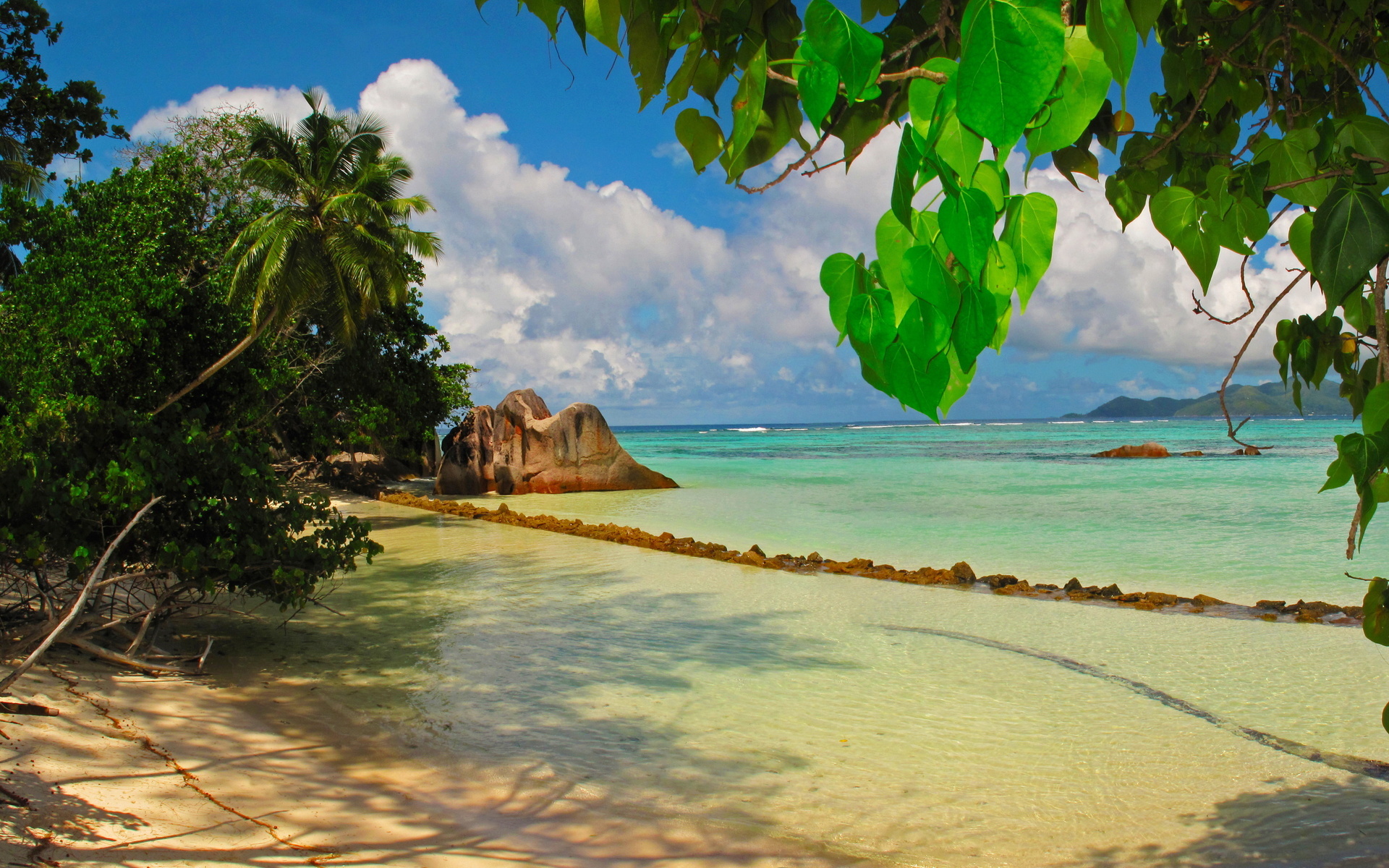 Tropical coast, Seychelles, La Digue, Leaves, 1920x1200 HD Desktop