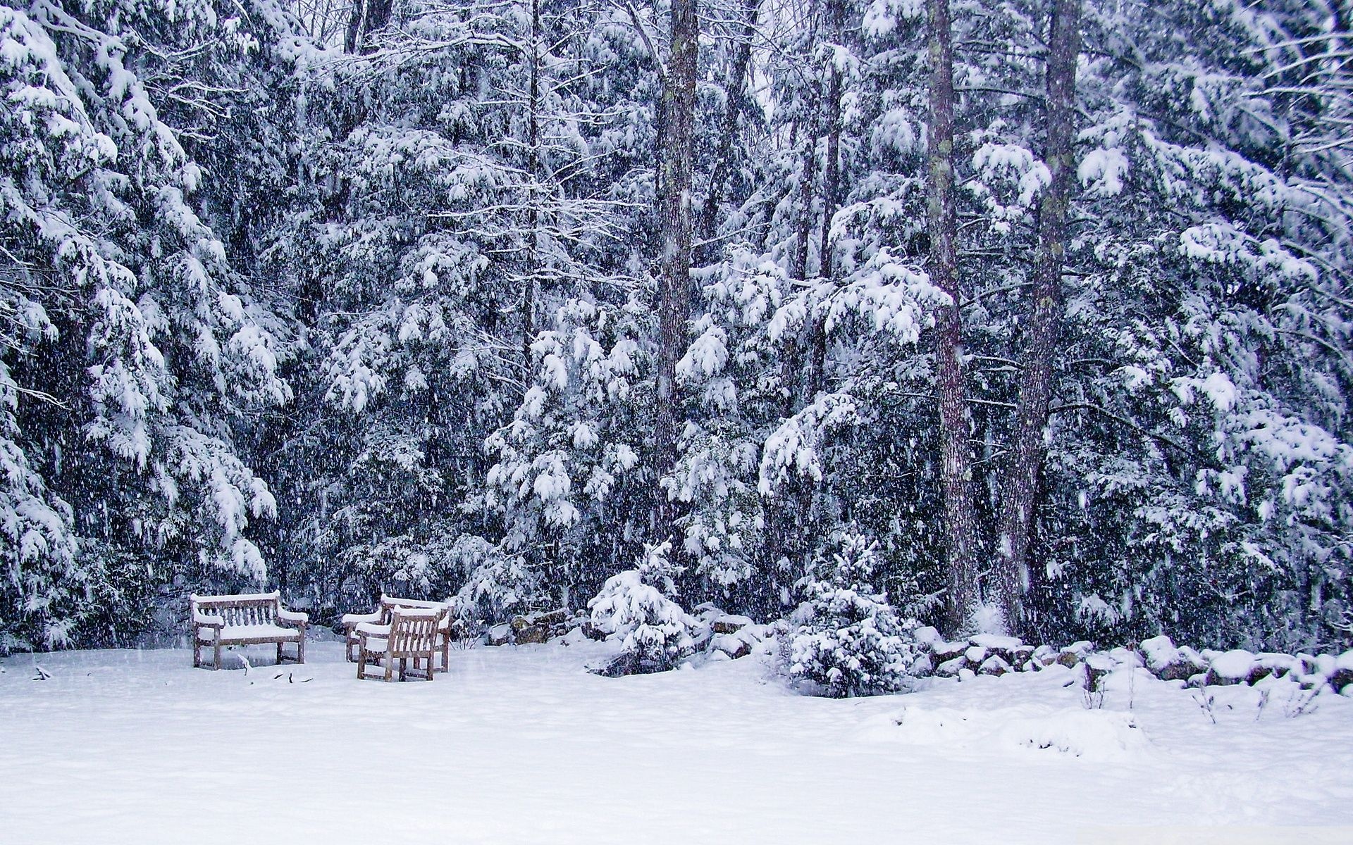 Frosty wonderland, Snowy storm, Majestic spectacle, Winter's beauty, 1920x1200 HD Desktop