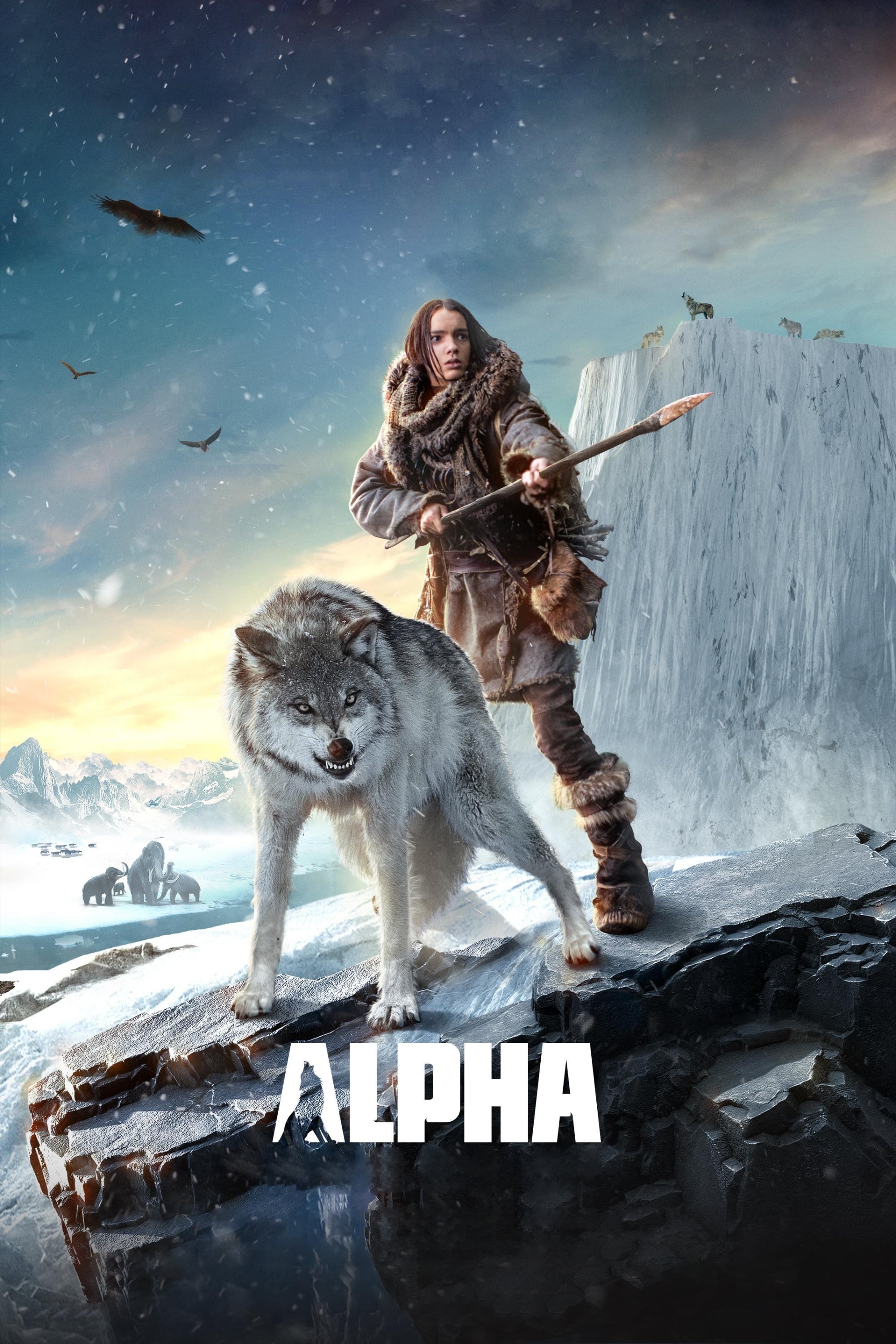 Alpha, Posters collection, Movie information, The Movie Database, 2000x3000 HD Phone