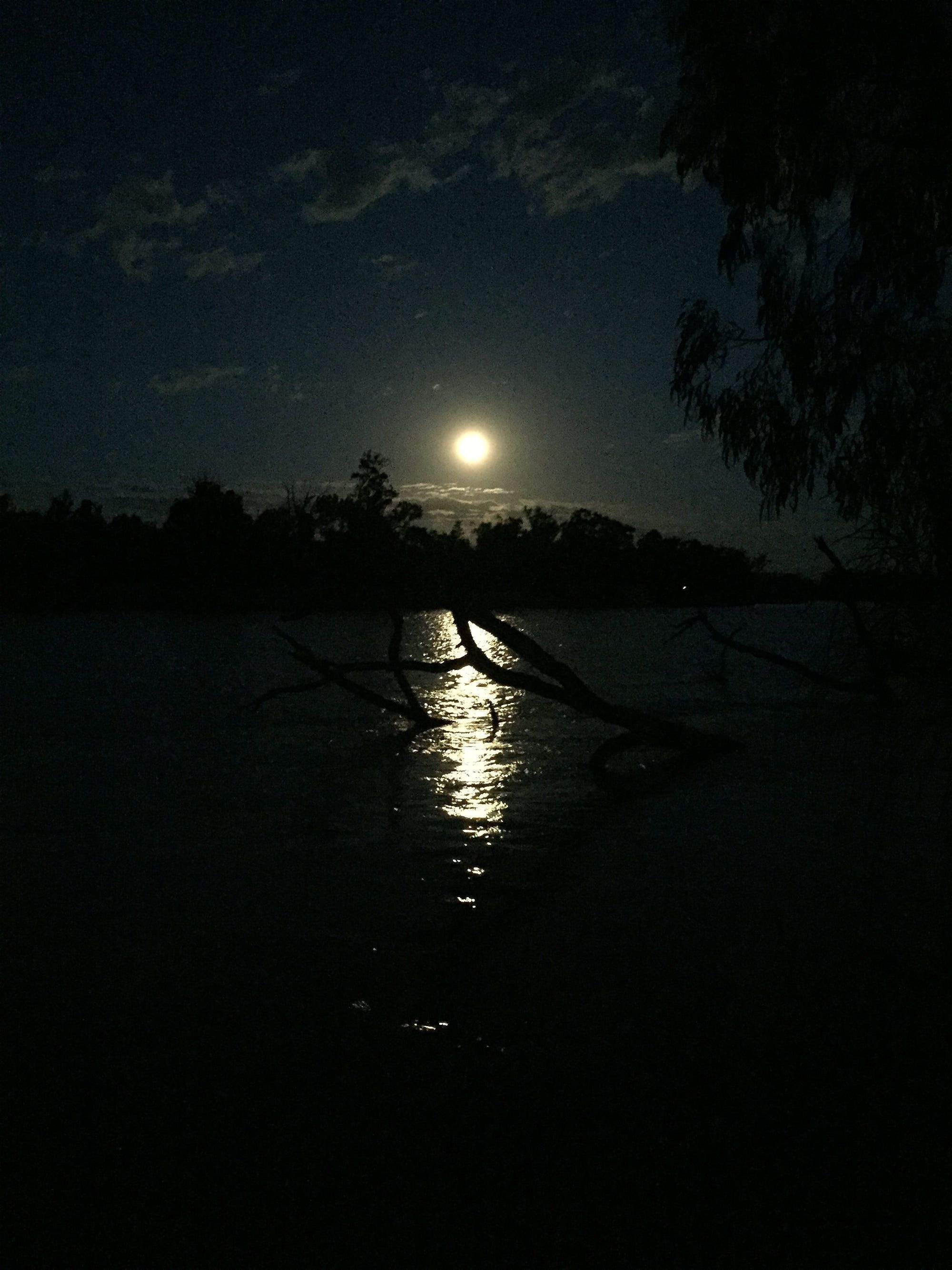 Murray River, Travel adventures, Moonlit landscapes, Scenic beauty, 2000x2670 HD Handy