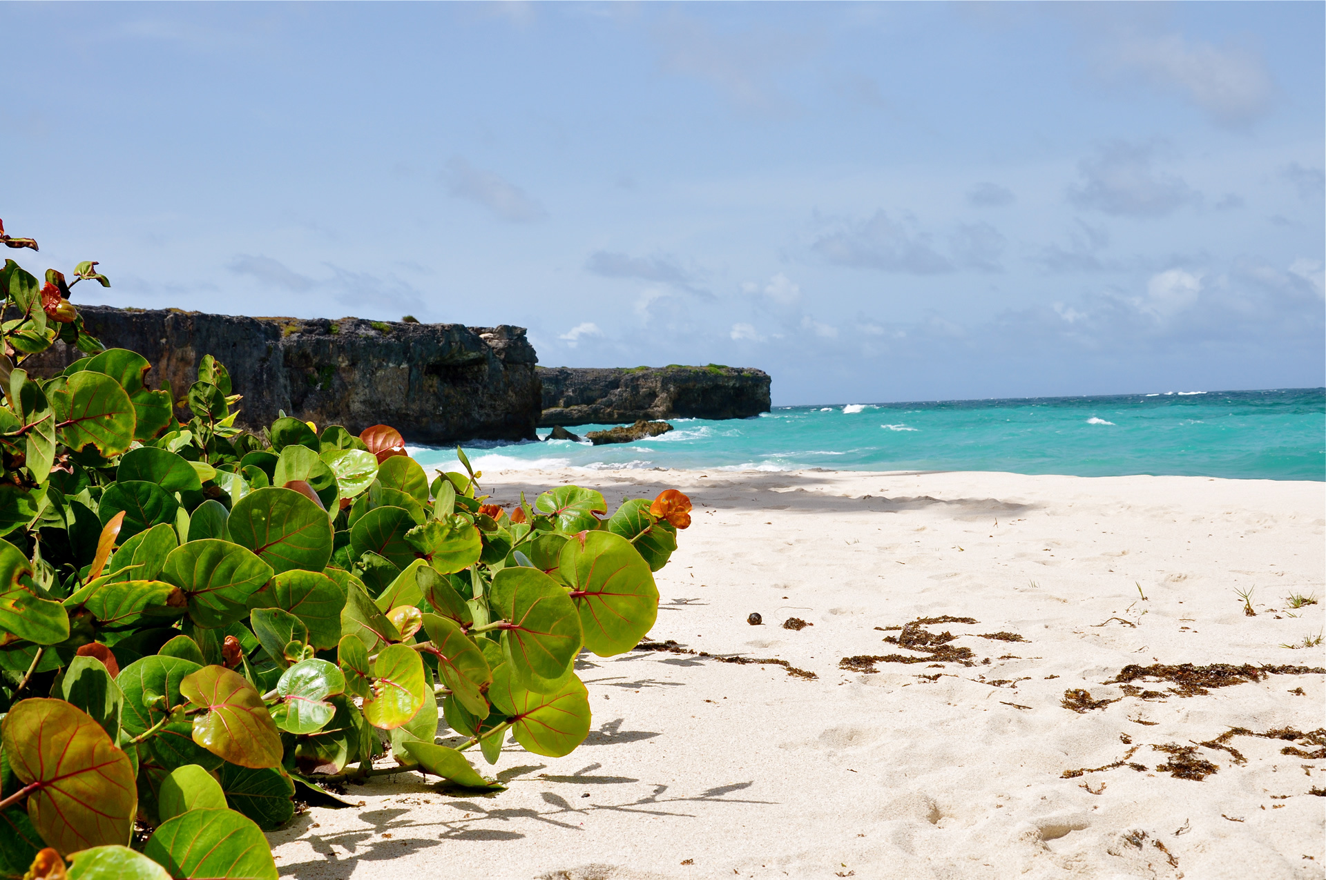 Barbados beach wallpaper, Coastal beauty, Beach paradise, Tropical vacations, 1920x1280 HD Desktop