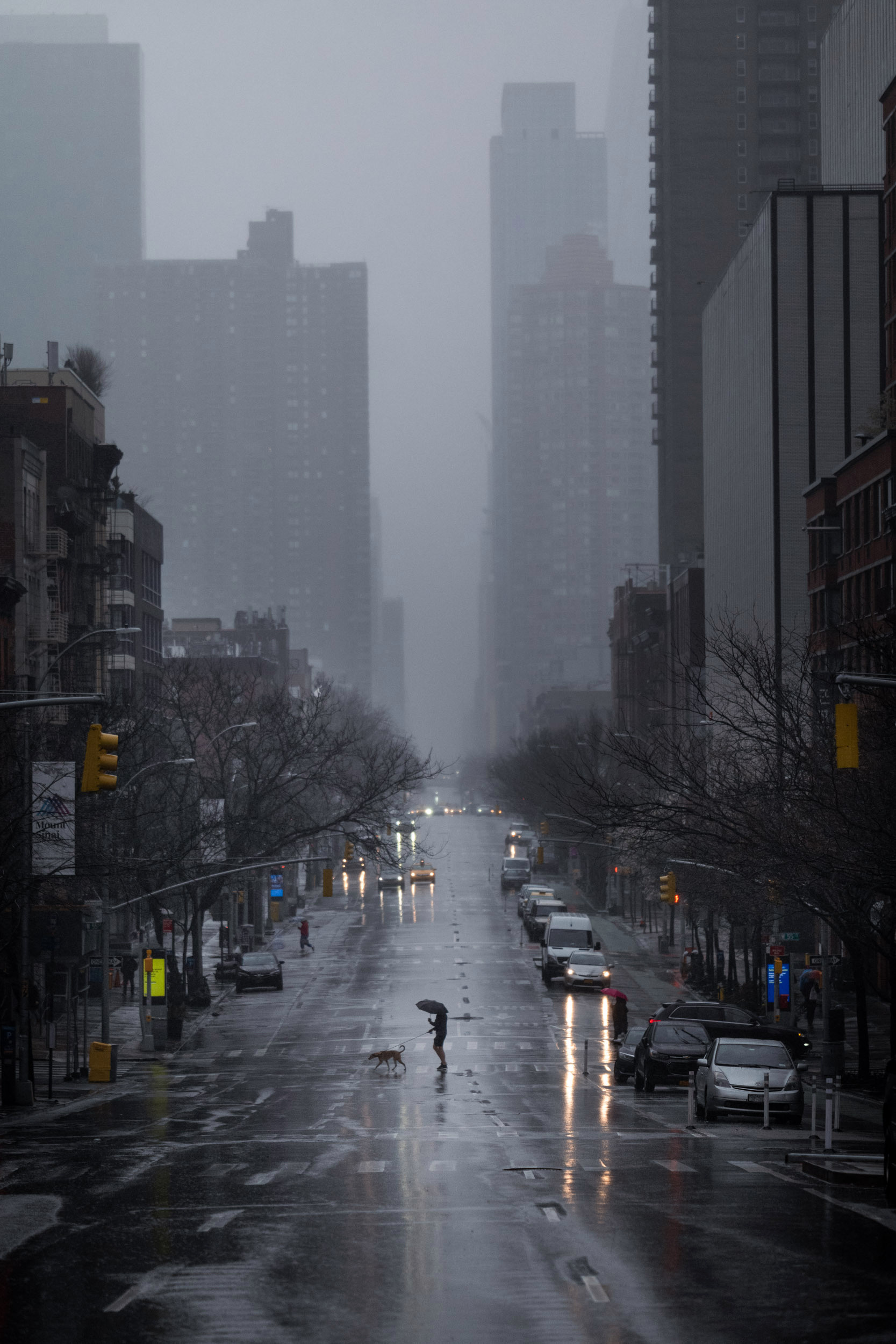 New York Streets, Abandoned Streets, Apocalypse Movie, 1670x2500 HD Handy
