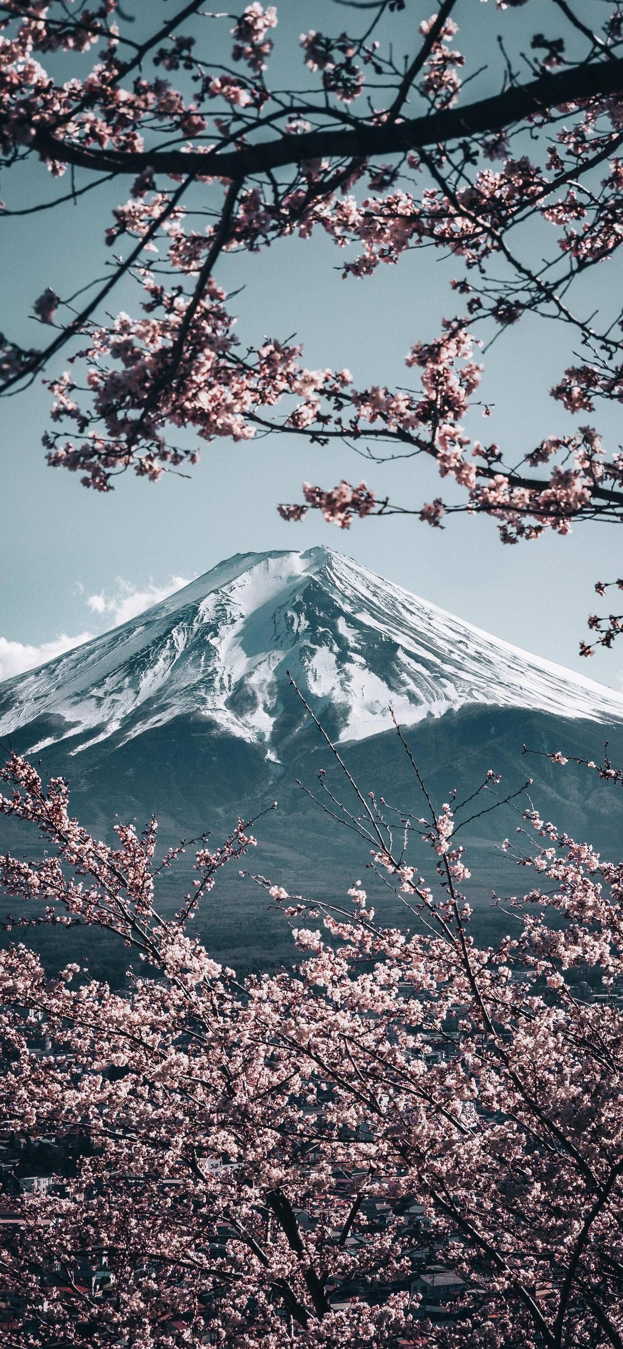 Mount Fuji, Japan, Travels, Japanese mountain, 1280x2760 HD Phone