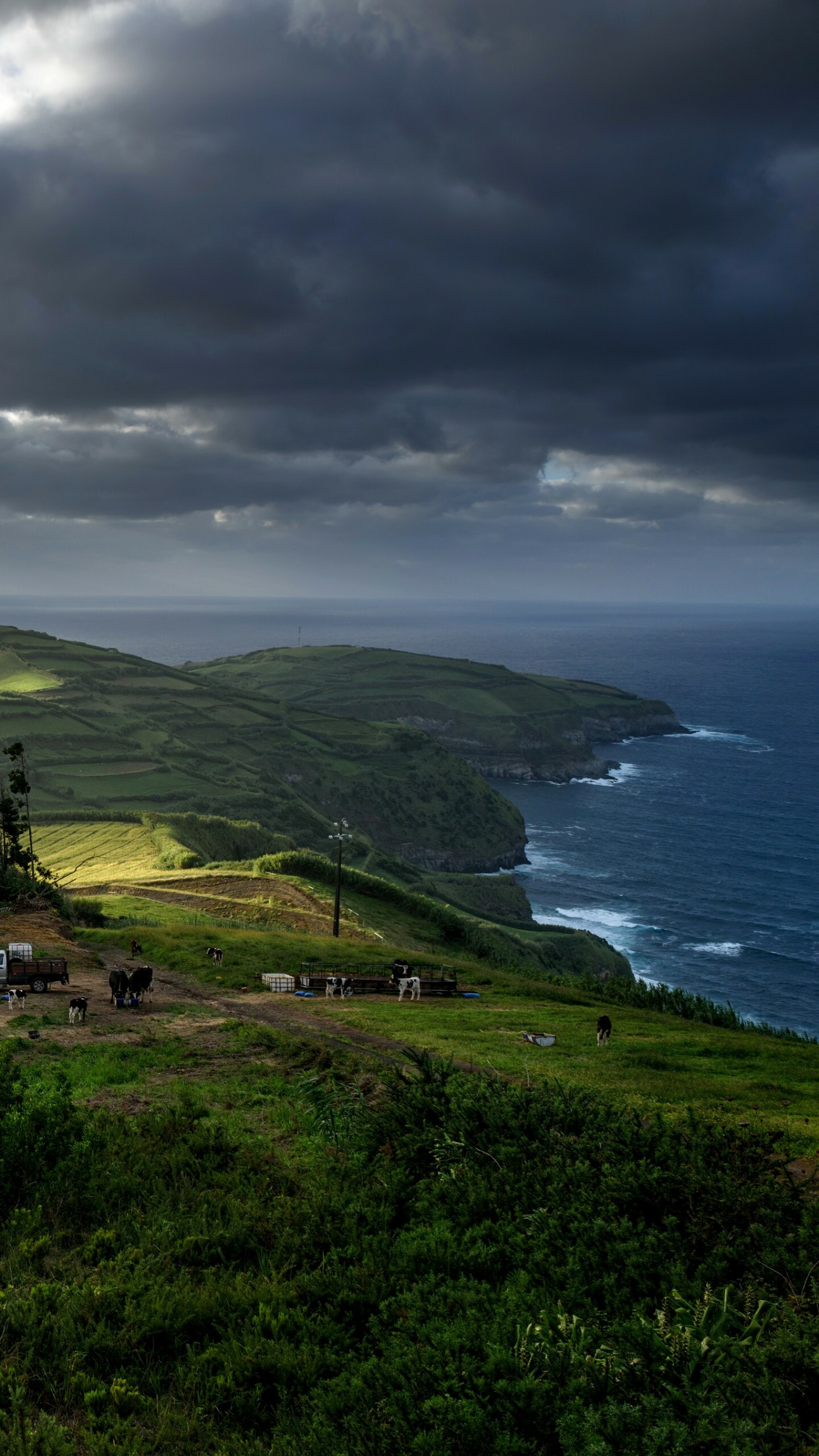Portugal: Azores, Nature, The name of the country derives from the joined Romano-Celtic name Portus Cale. 1440x2560 HD Background.