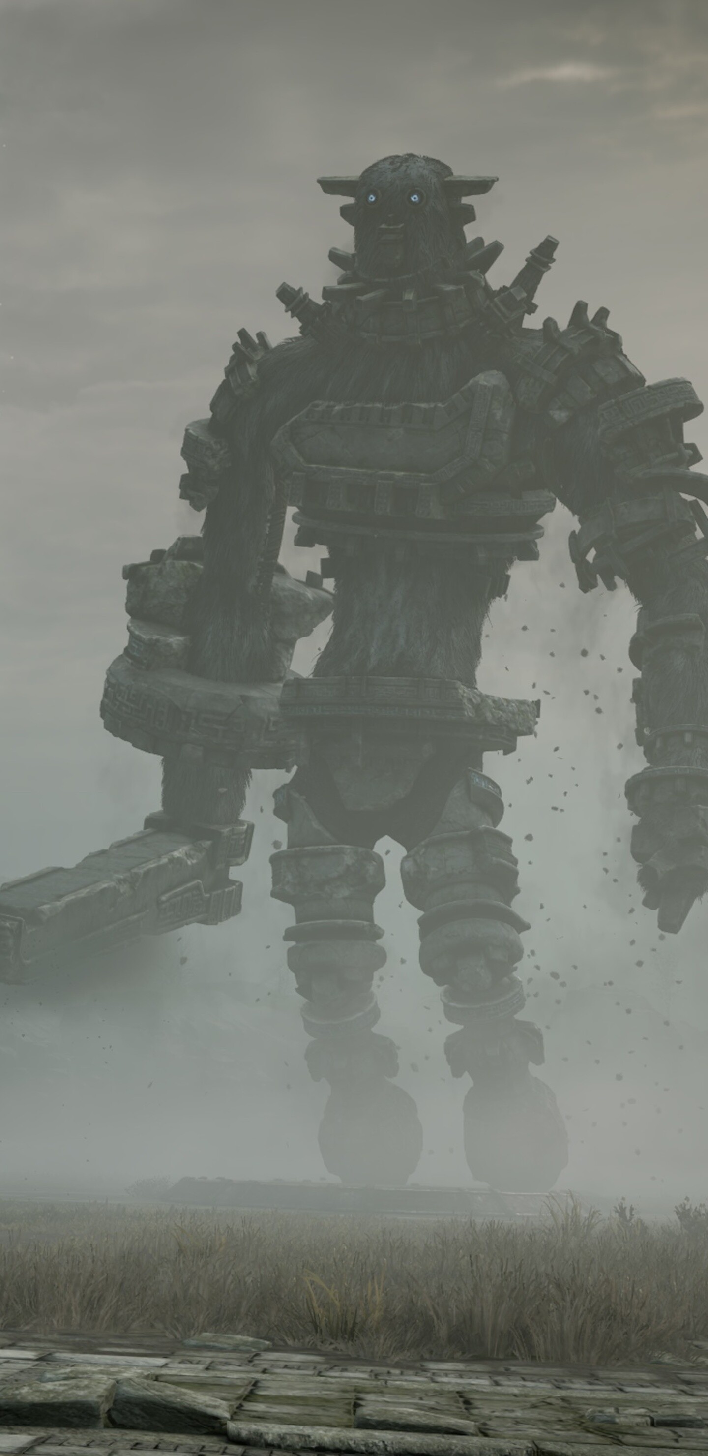Shadow of the Colossus: Gaius, The third-tallest enemy after Malus and Quadratus. 1440x2960 HD Wallpaper.