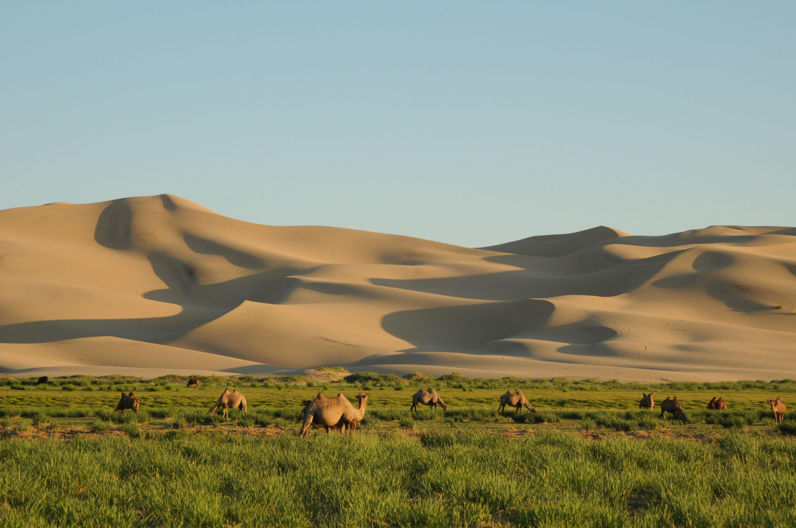 Gobi Desert, Asia's gem, Travel advice, Alluring landscapes, 2560x1700 HD Desktop