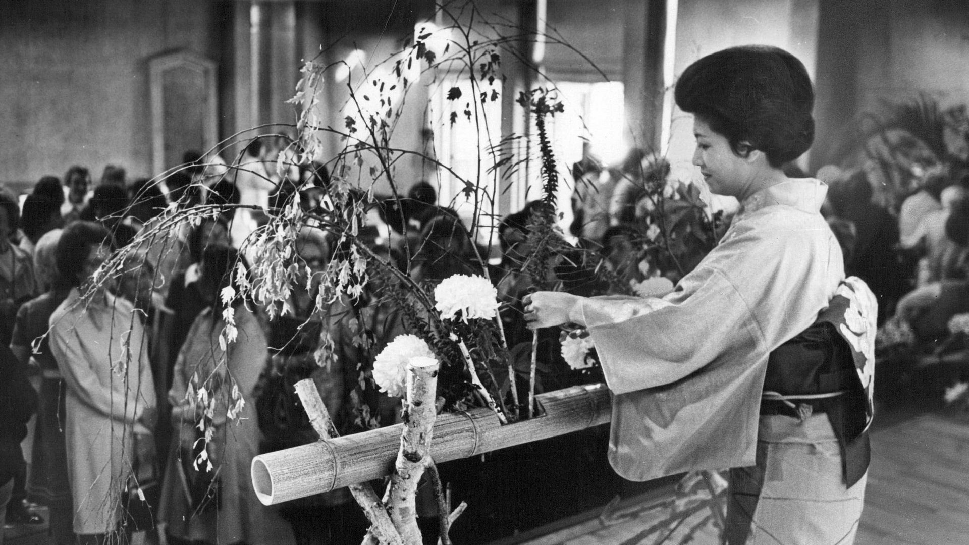 Ikebana art, Delicate plant care, Artistic plant arrangement, Plant vitality, 1920x1080 Full HD Desktop