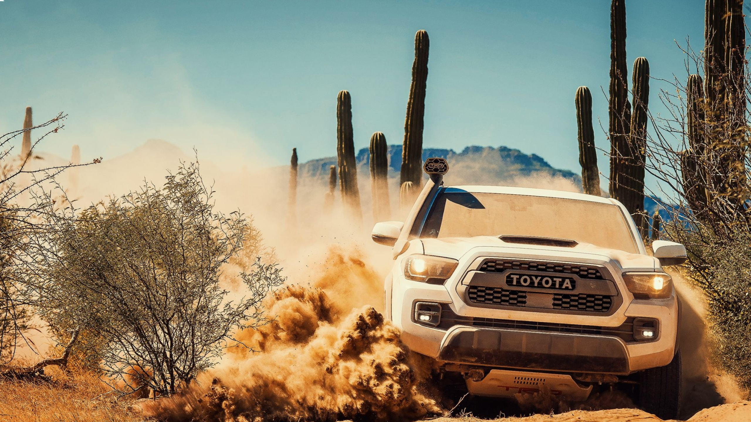 Toyota TRD power, Off-road machines, Rally dominance, Adrenaline-fueled action, 2560x1440 HD Desktop