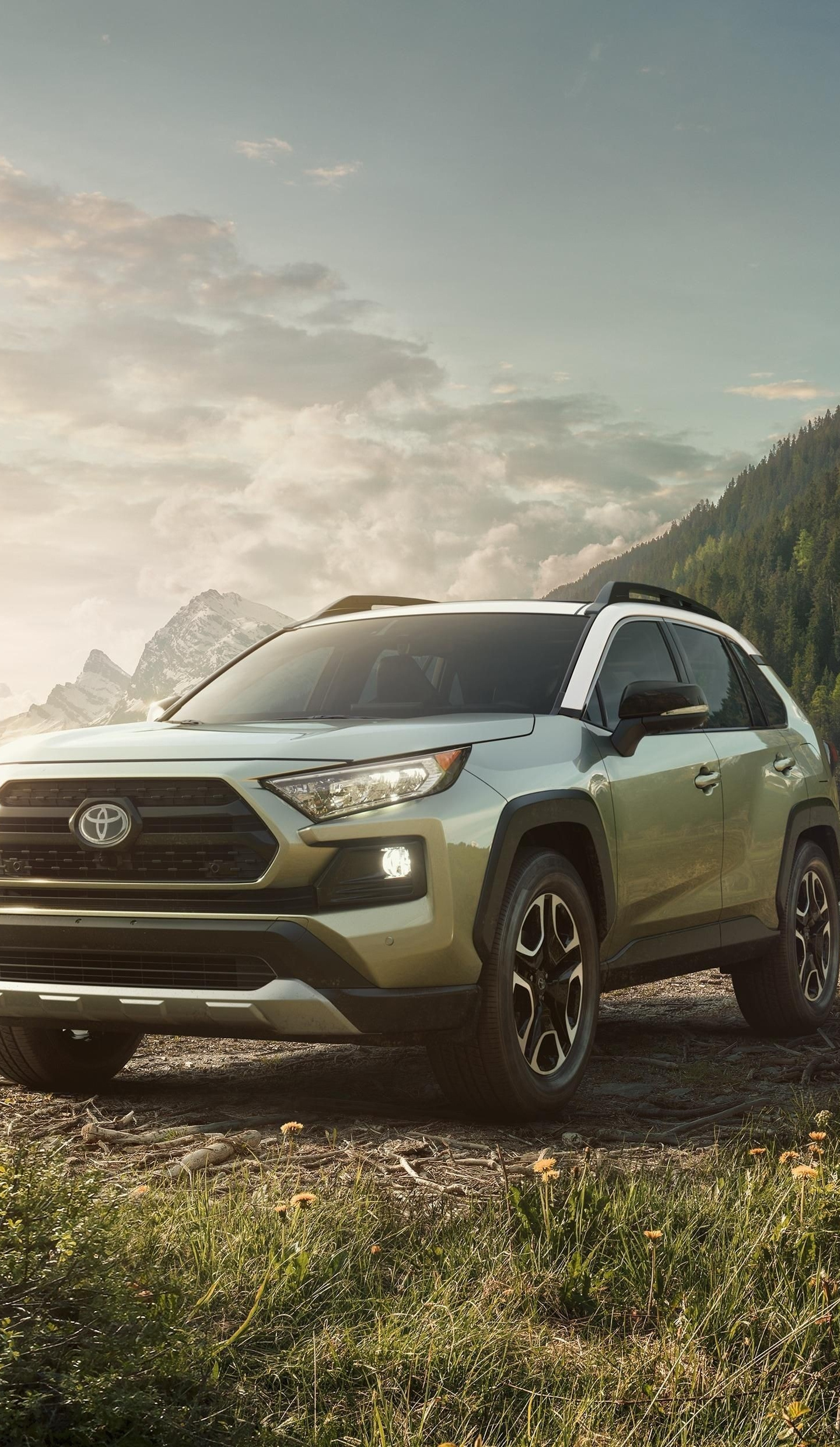 Toyota RAV4, Outdoor adventure, High-definition wallpapers, Unmatched capability, 1440x2490 HD Phone